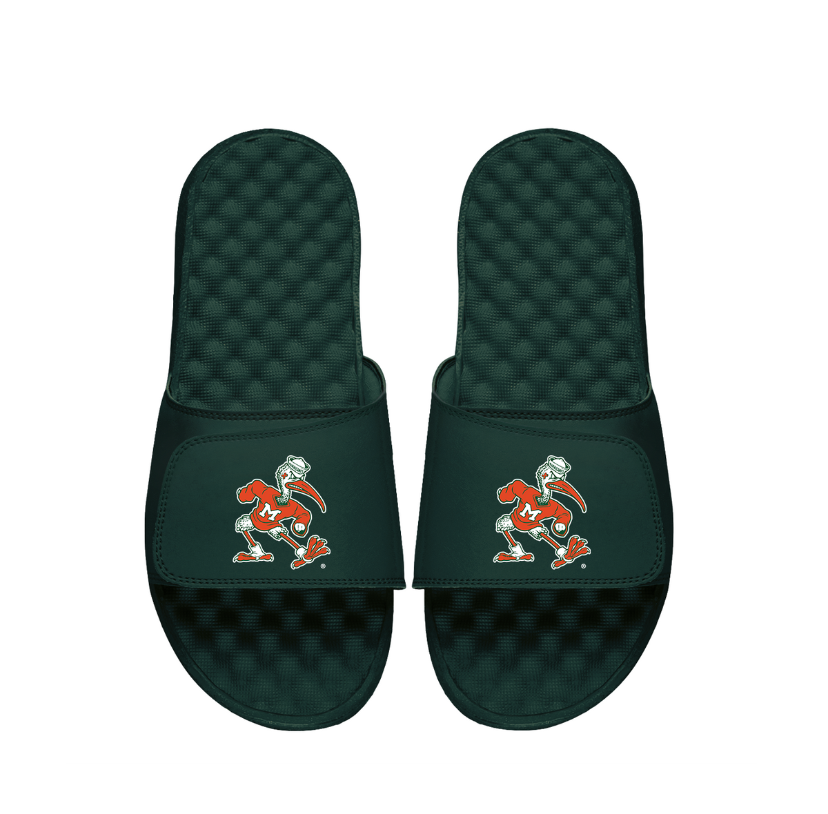 University of Miami Mascot Slides