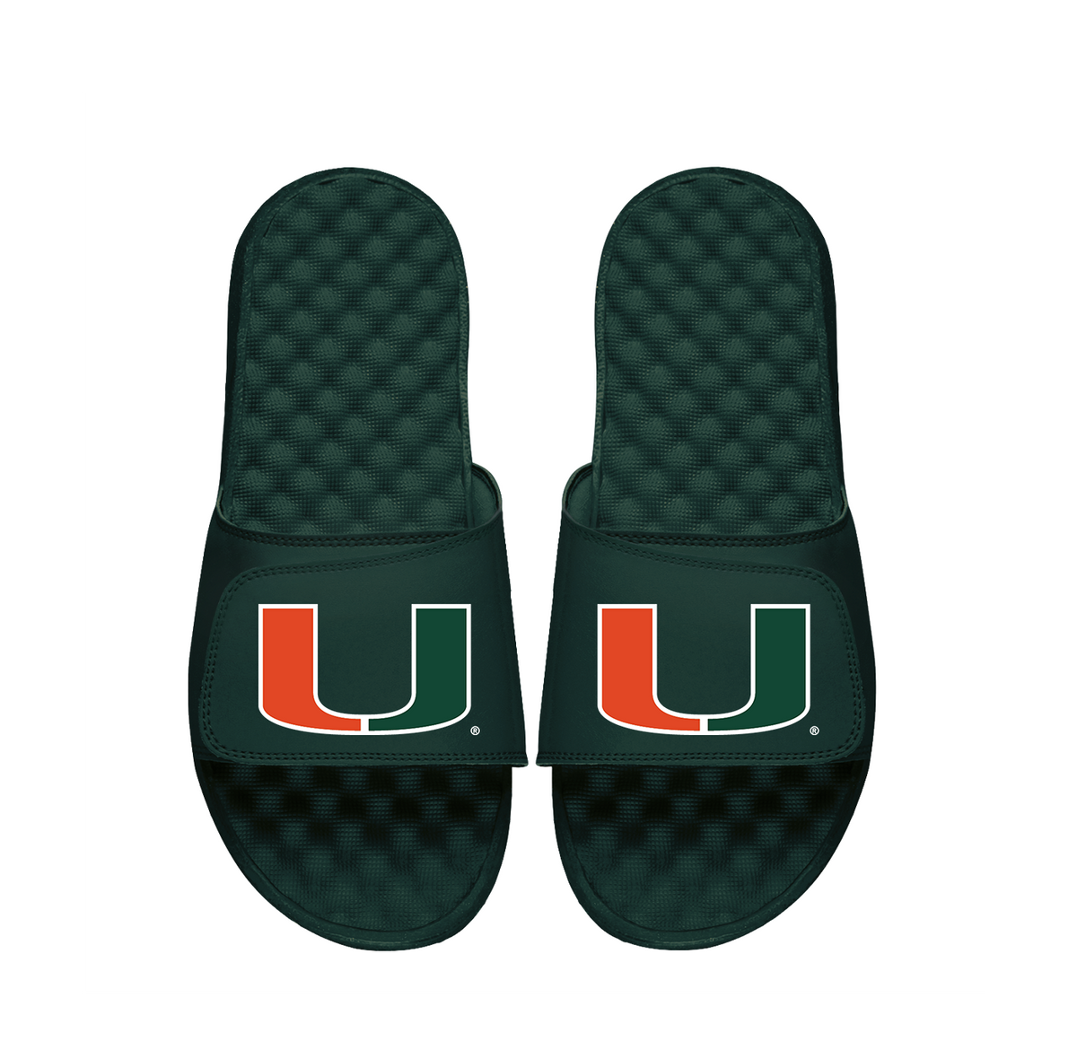 University of Miami Primary Slides