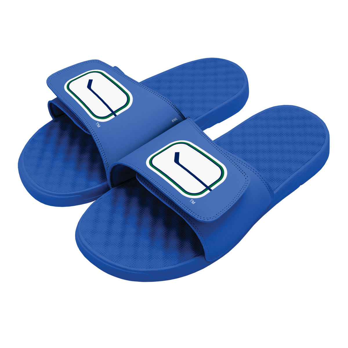 Vancouver Canucks Vintage Logo Slides