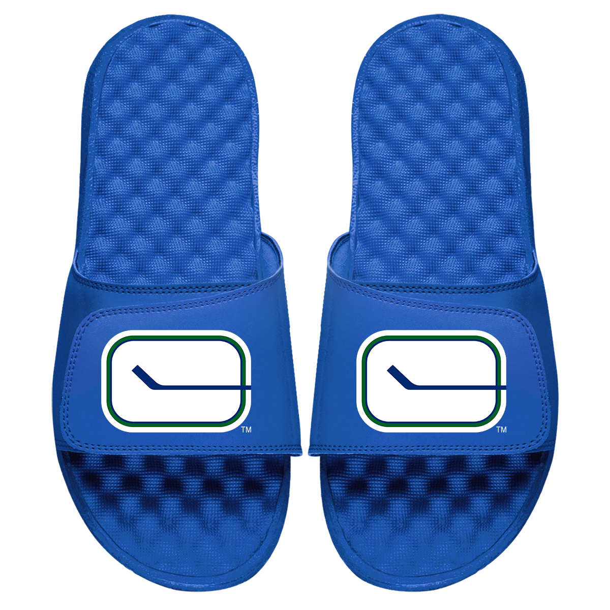 Vancouver Canucks Vintage Logo Slides