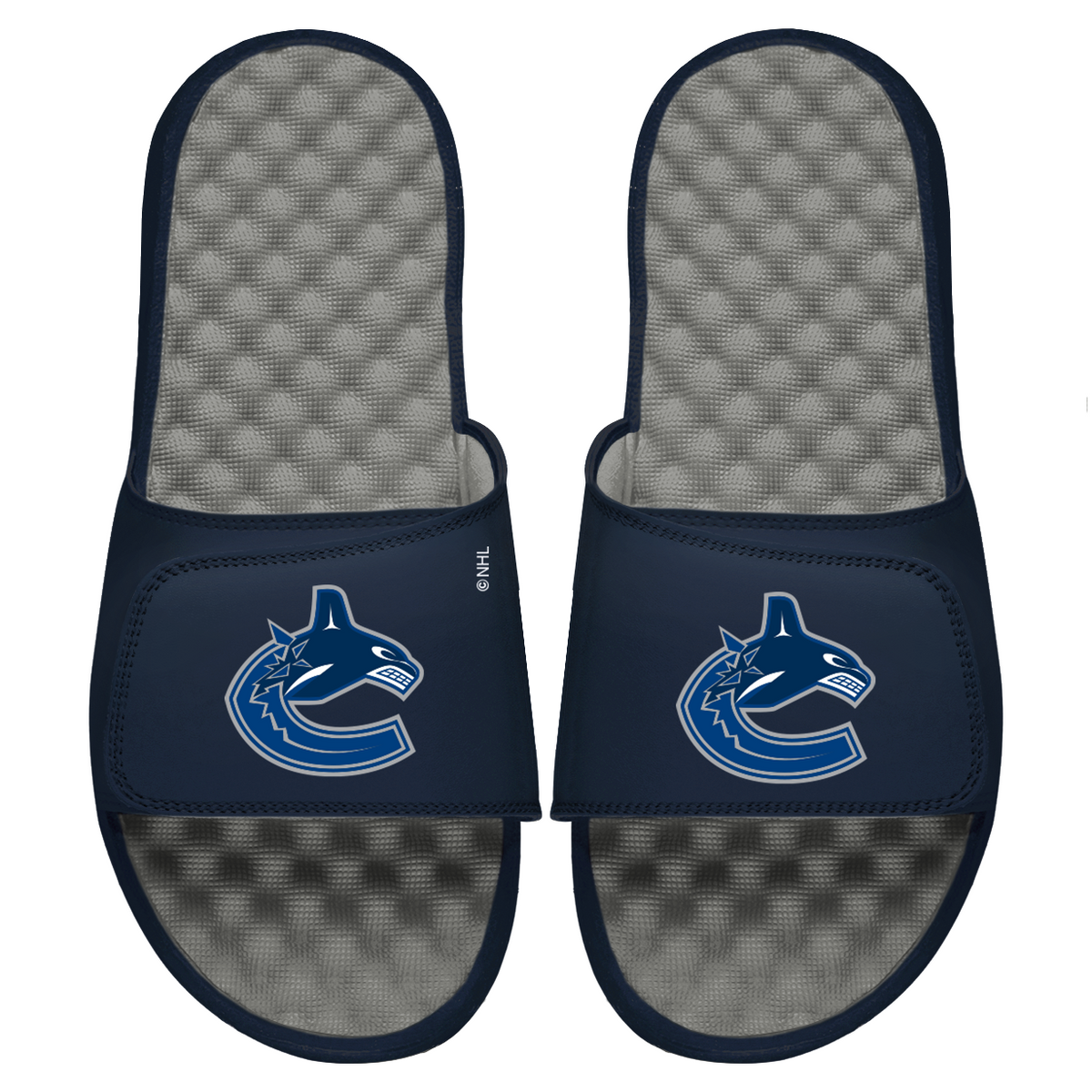 Canucks Primary Logo Slides