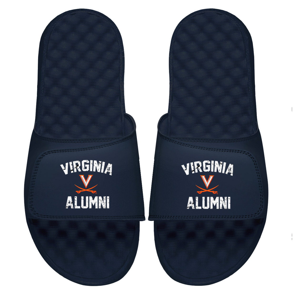 Virginia Alumni Slides