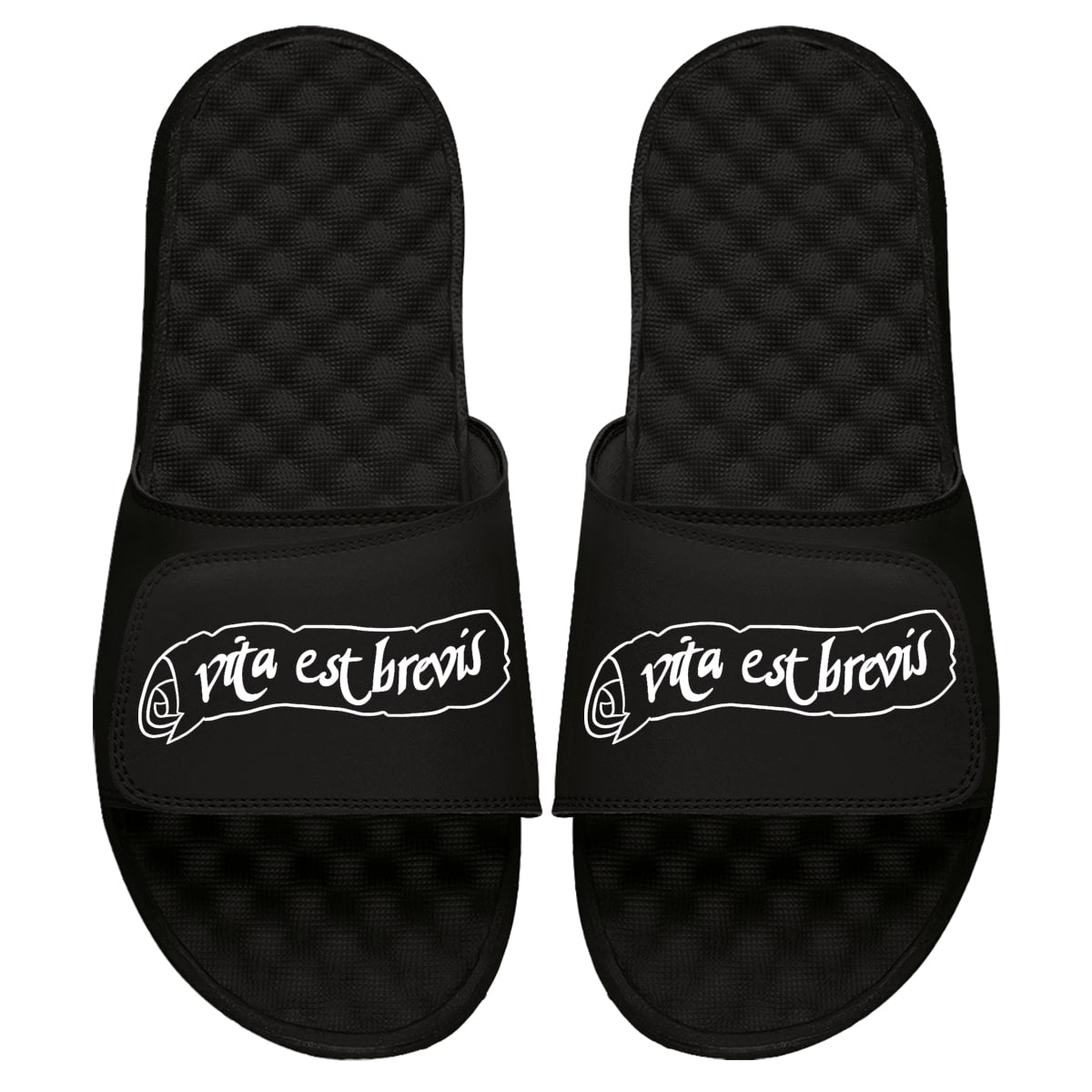 Vita Est Brevis Black Slides