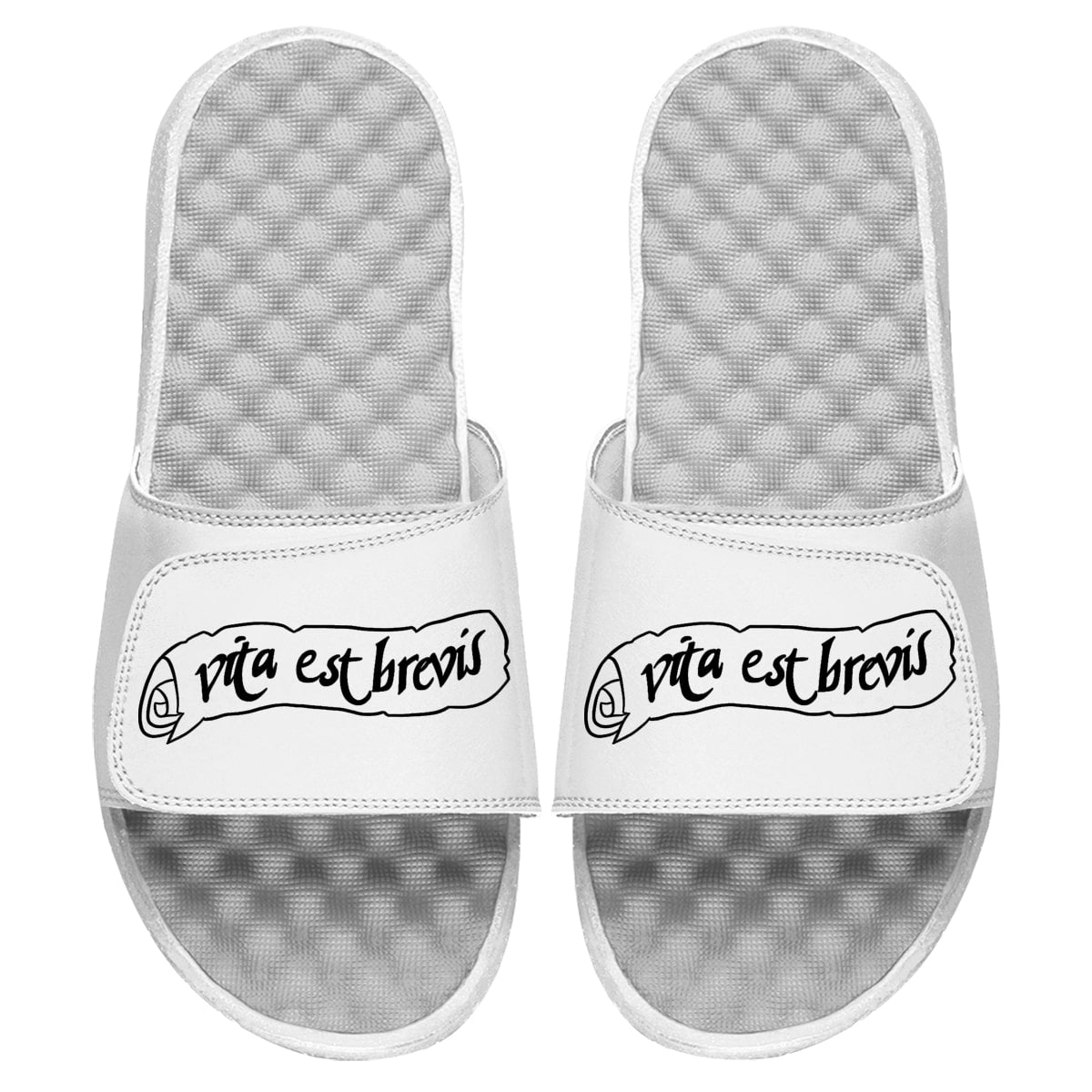Vita Est Brevis White Slides