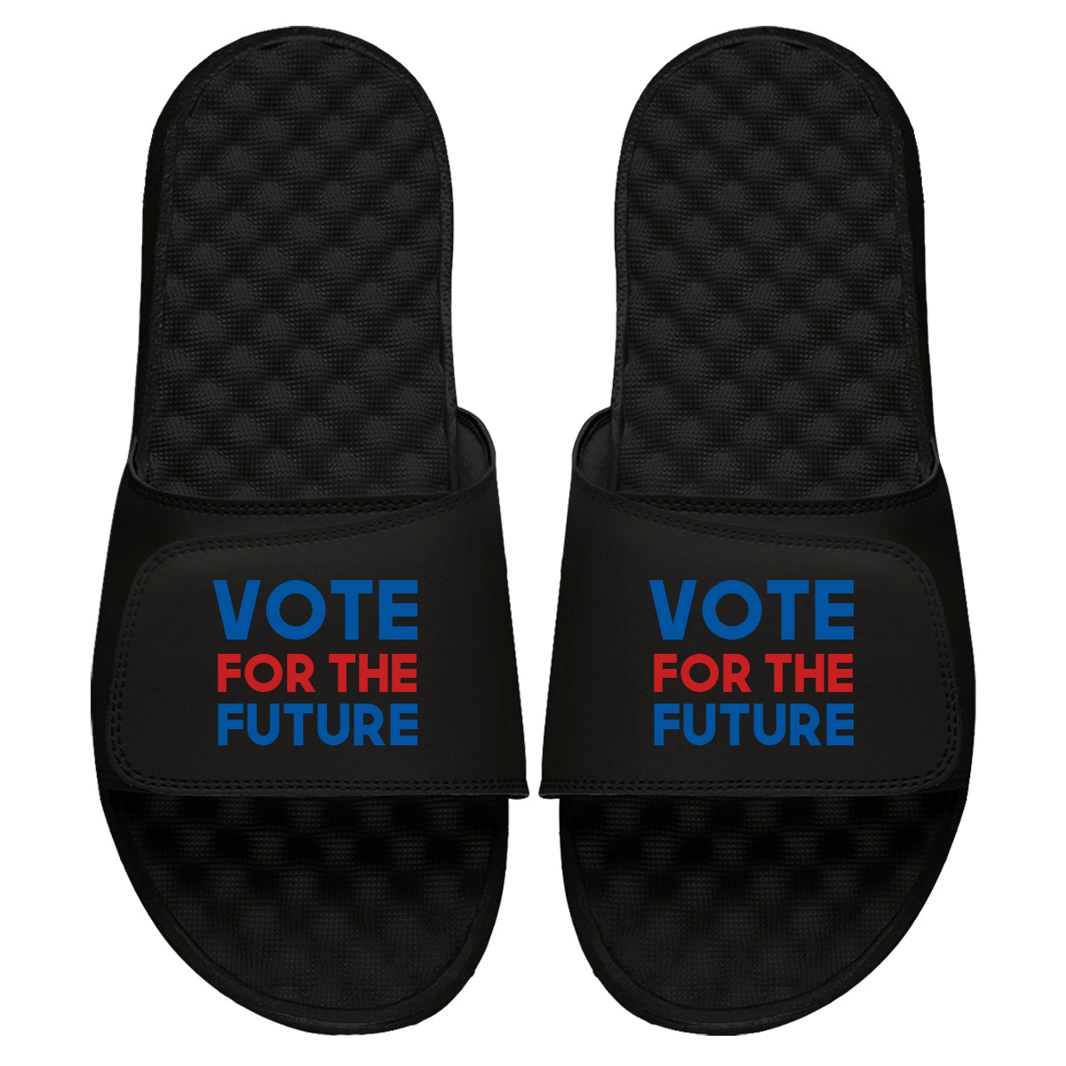 Vote For The Future Slides