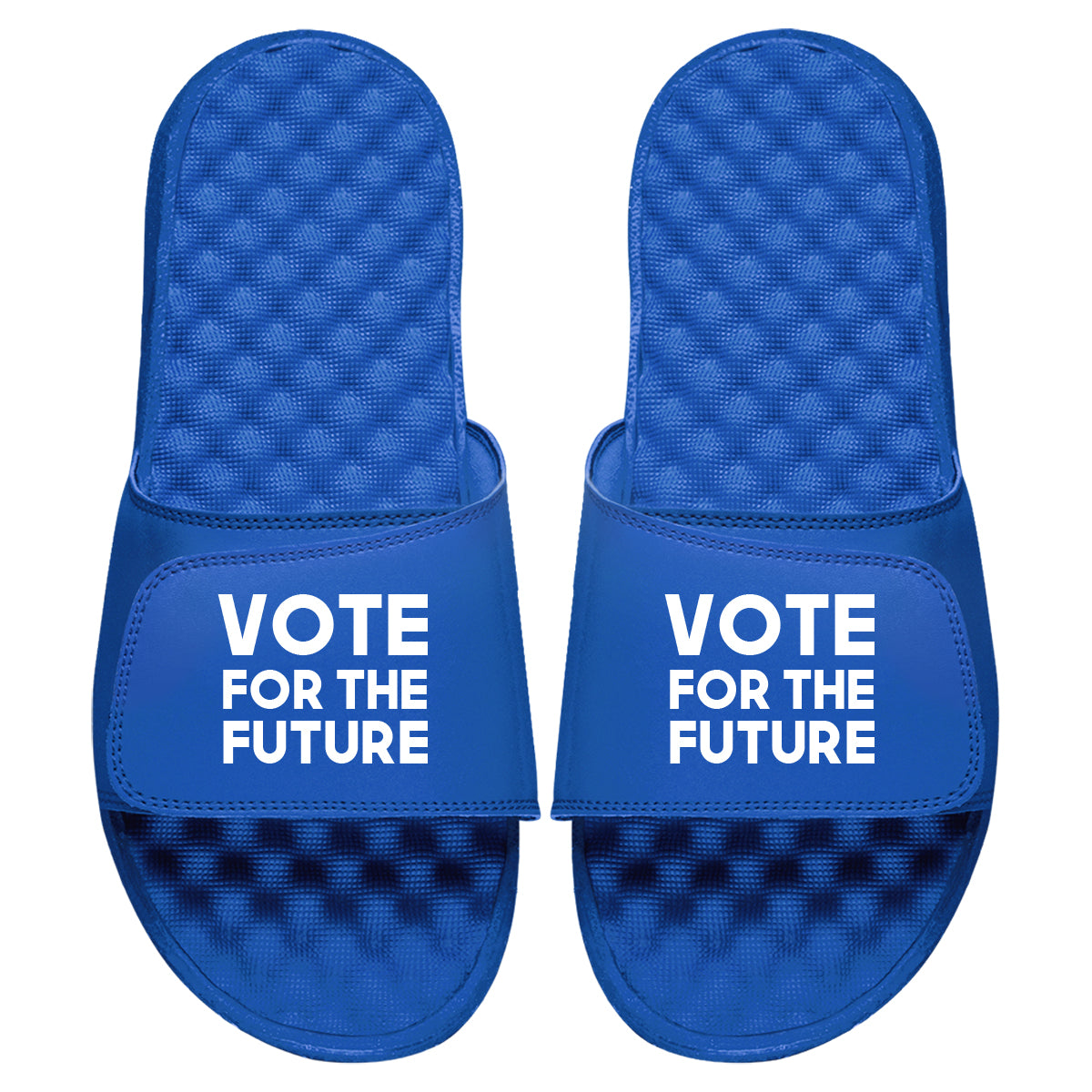 Vote For The Future Slides