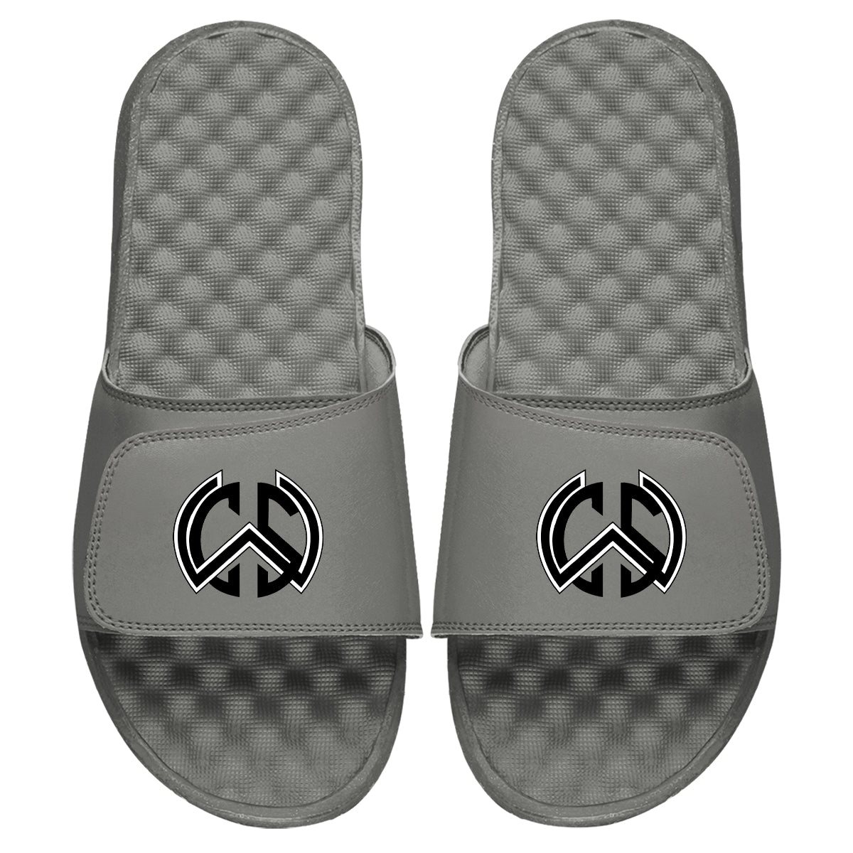 WSC Logo Slides