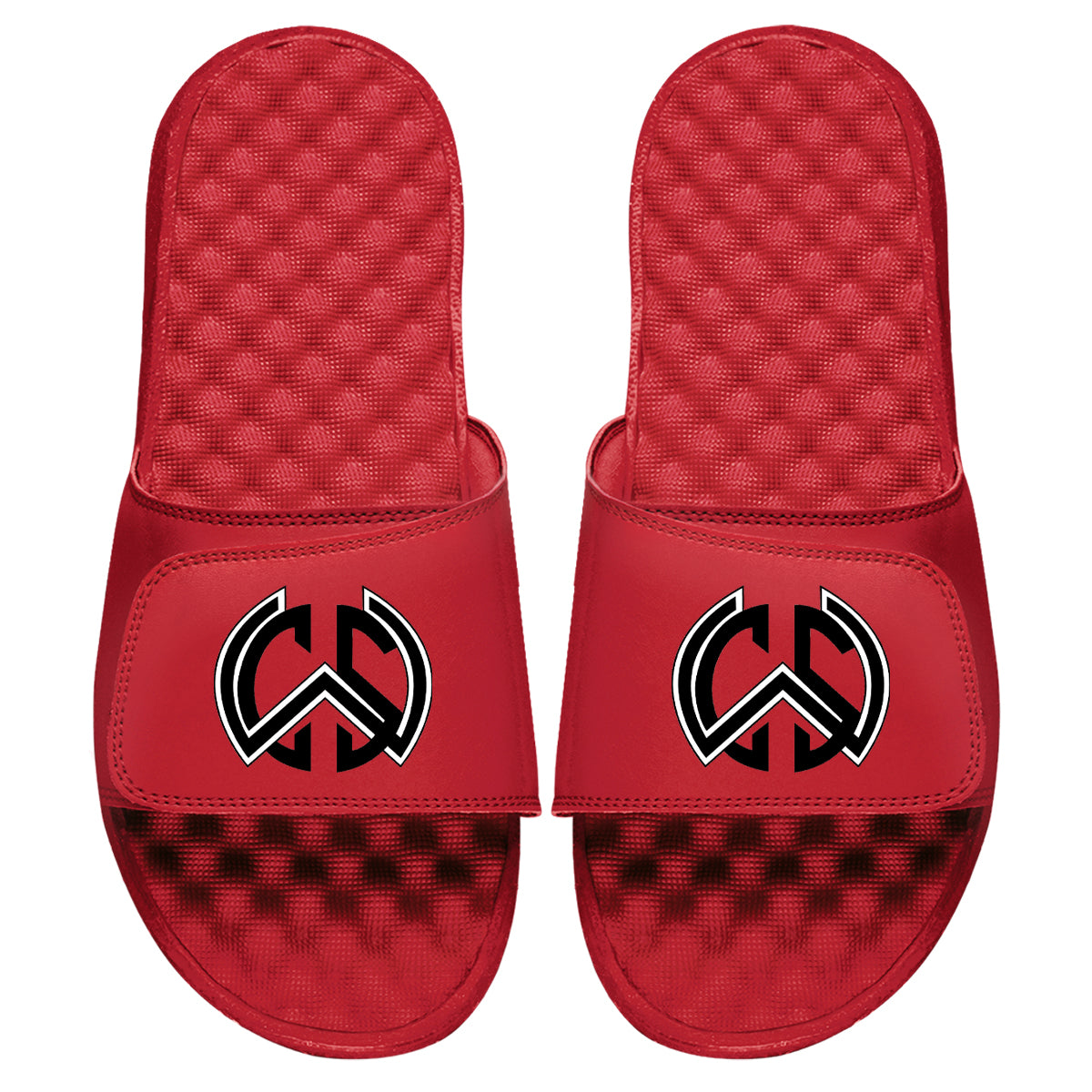 WSC Logo Slides