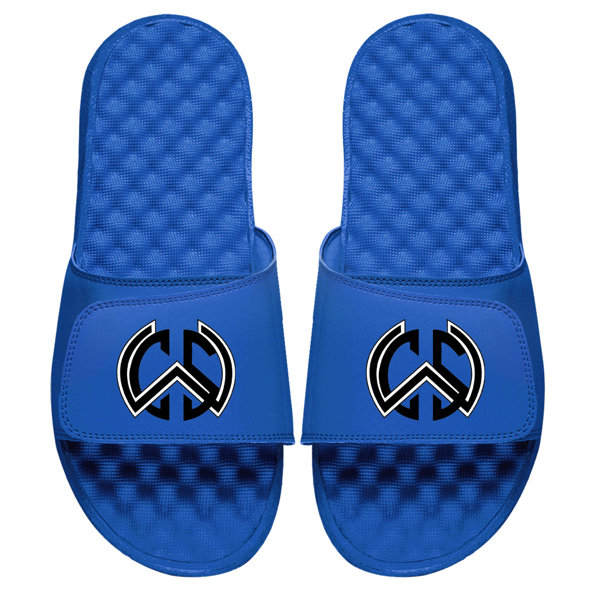WSC Logo Slides
