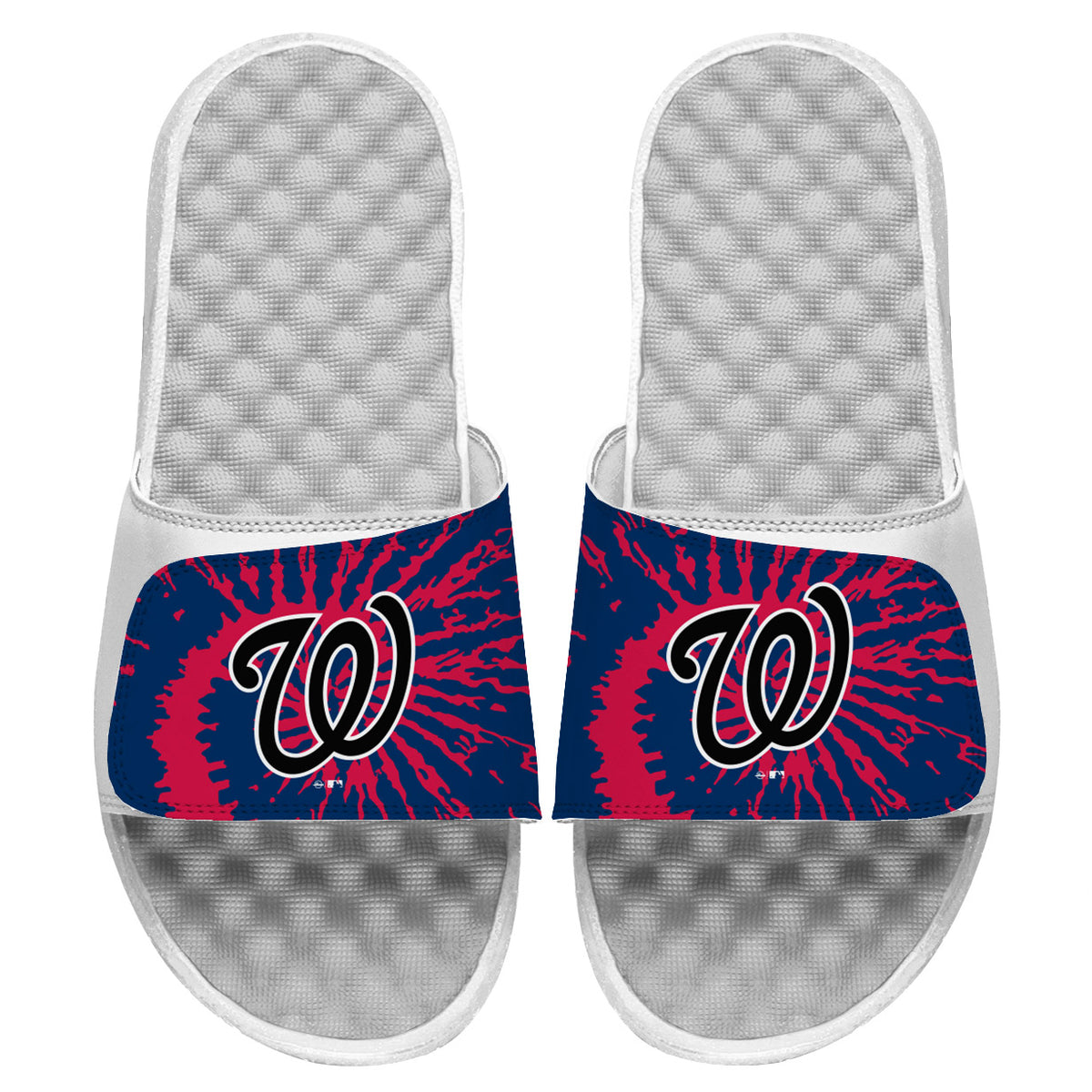 Washington Nationals Slides