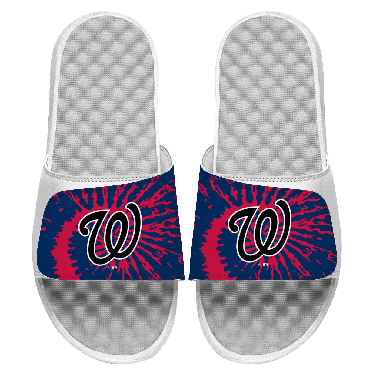 Washington Nationals Slides