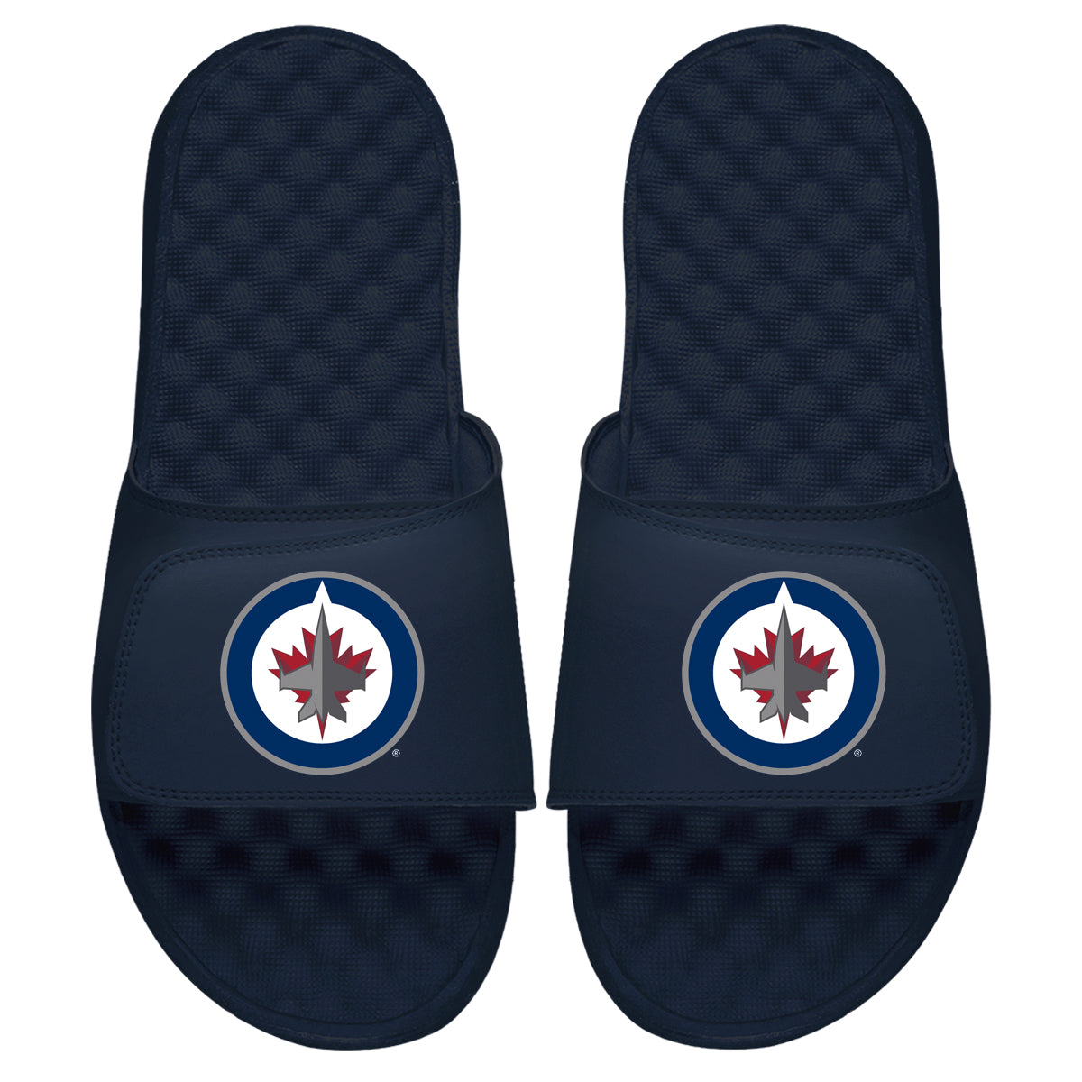 Winnipeg Jets Primary Slides