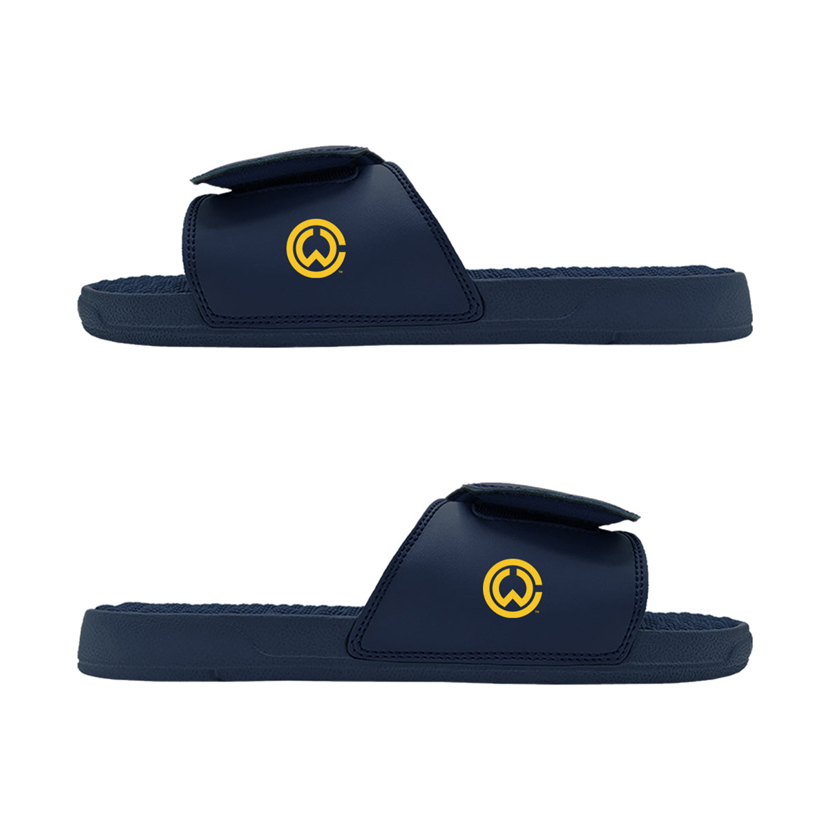 22nd Anniversary Charles Woodson Rose Bowl Slides