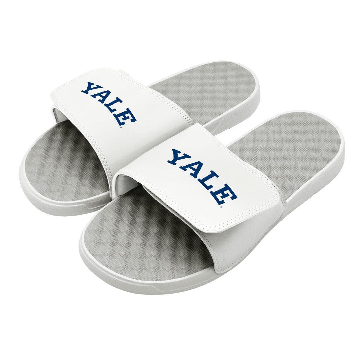 Yale Primary Logo Slides