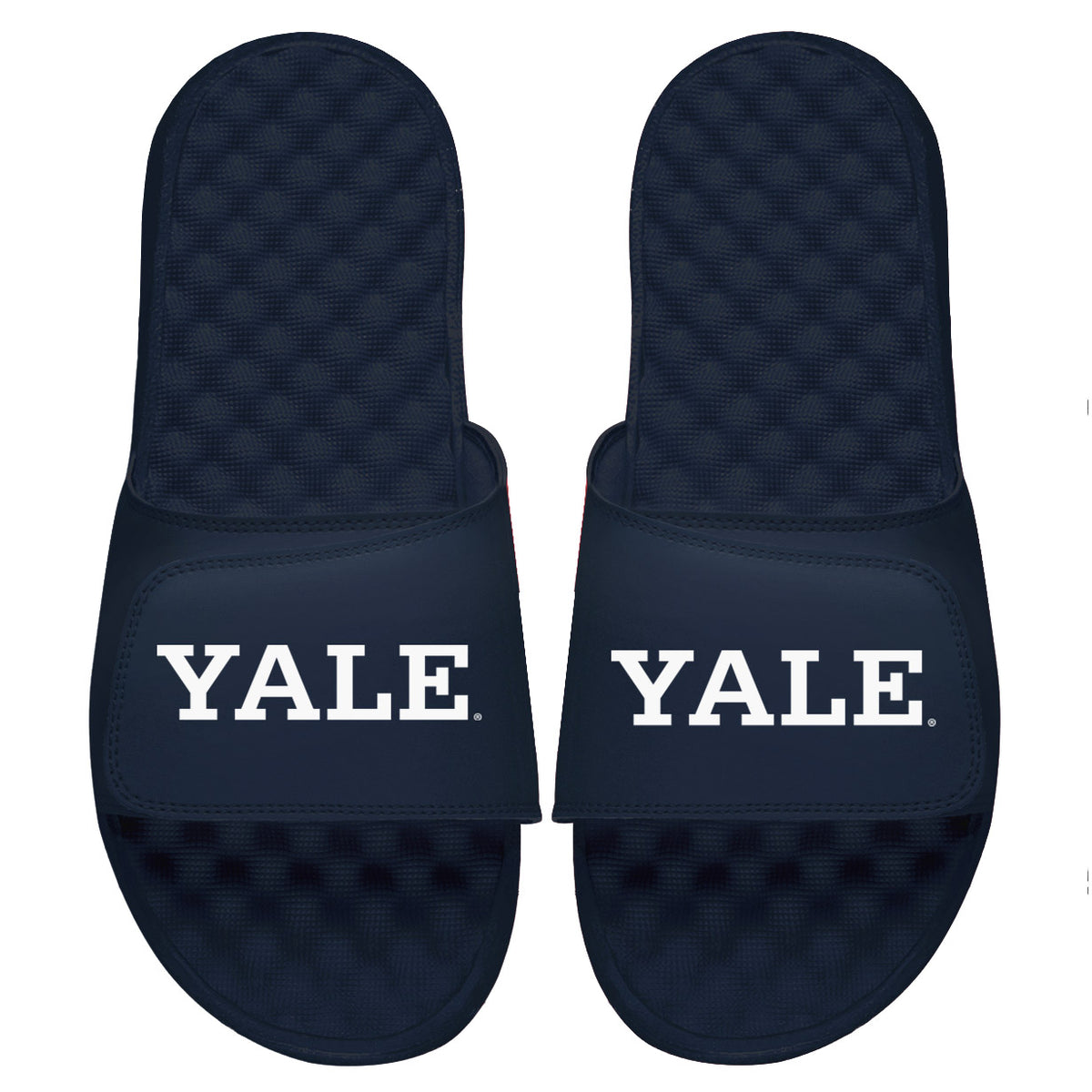 Yale Wordmark Slides