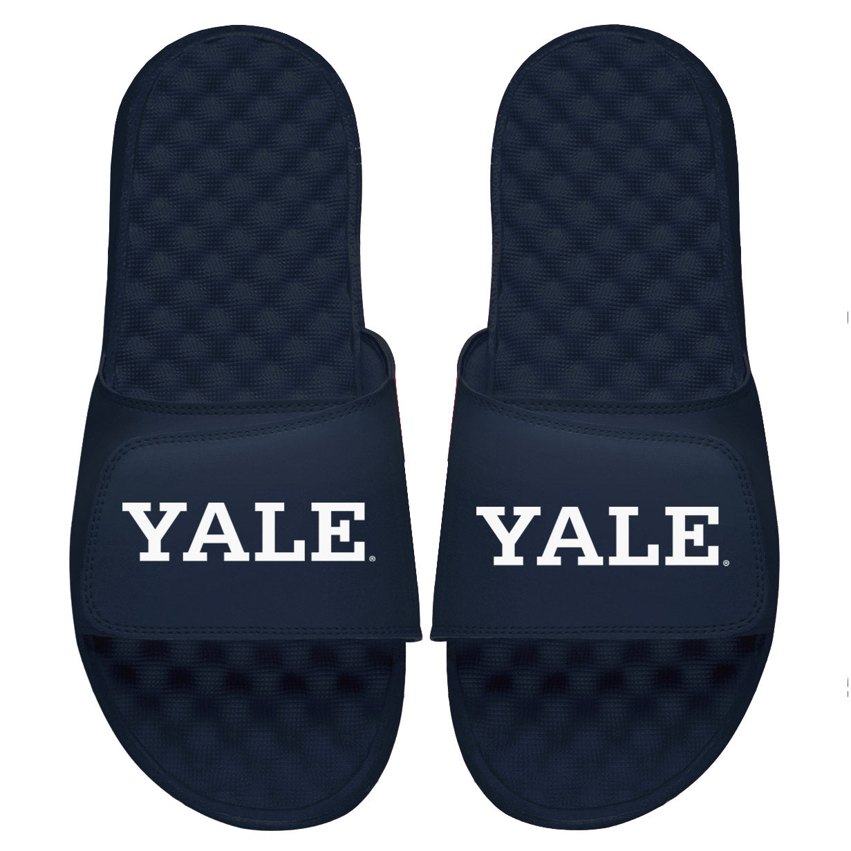 Yale Wordmark Slides