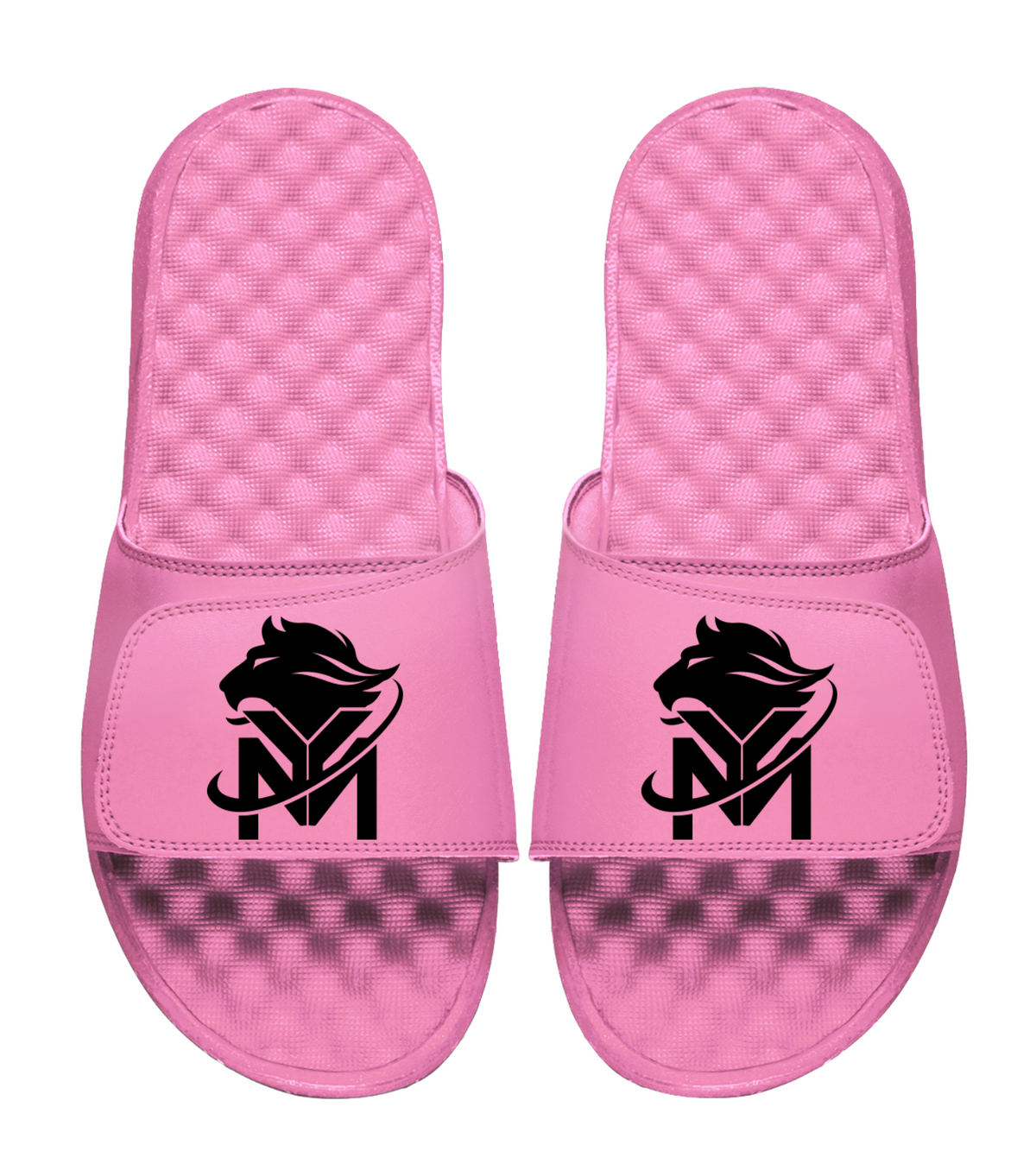 Young Money APAA Slides