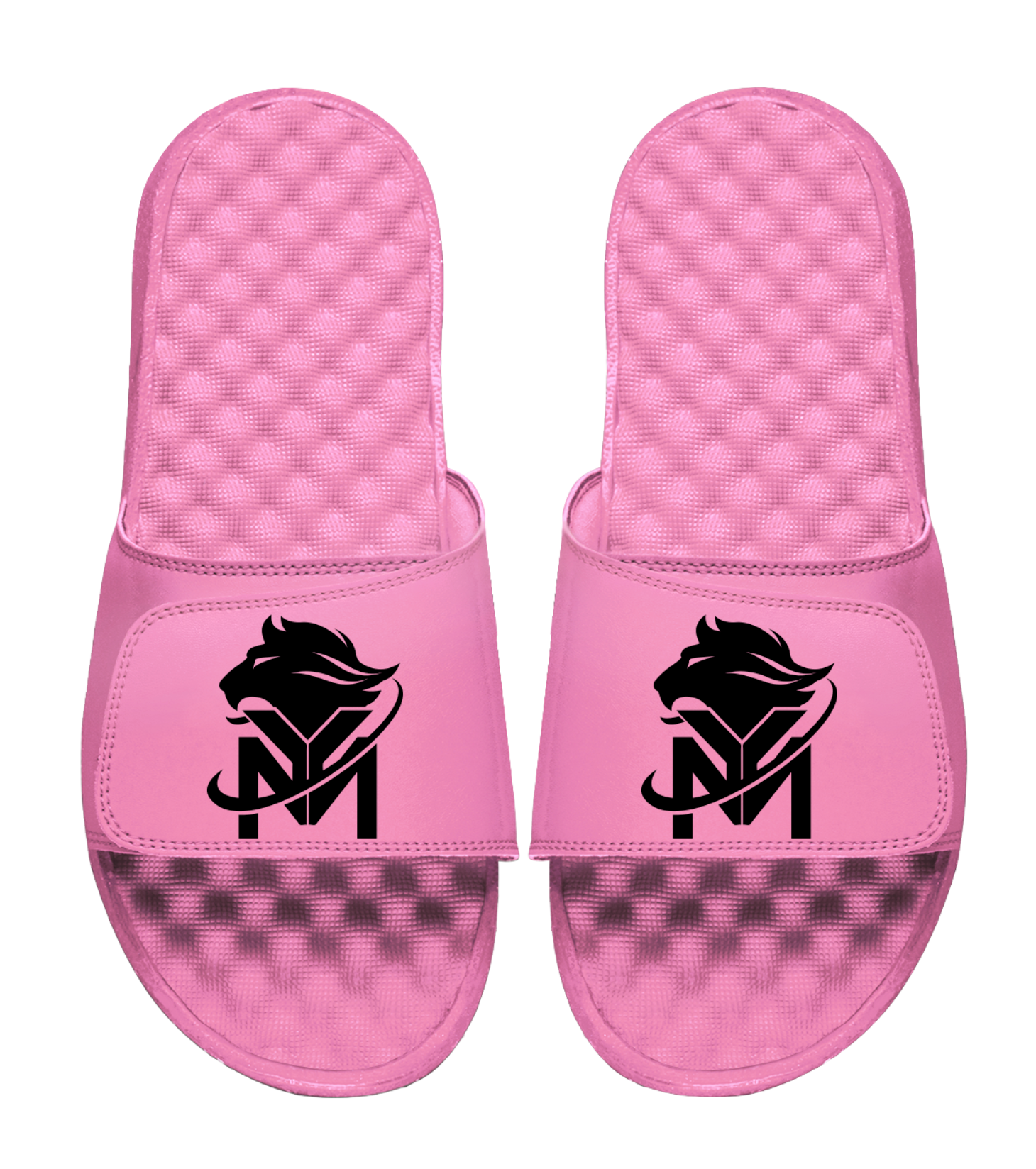 Young Money APAA Slides