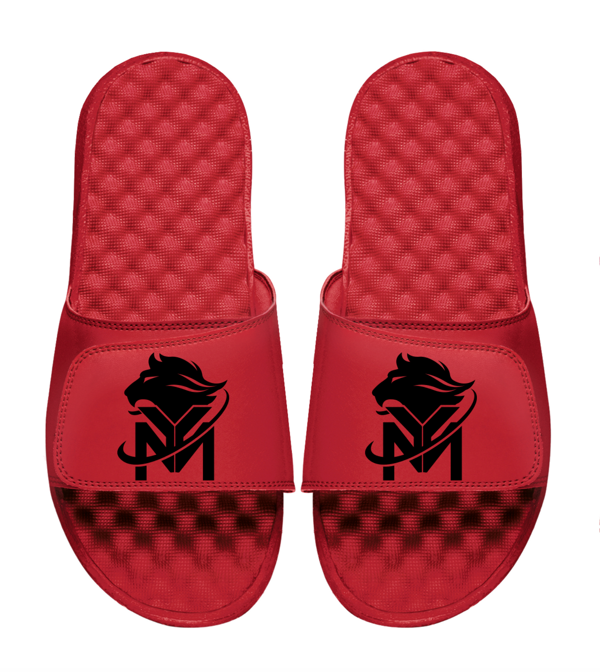 Young Money APAA Slides