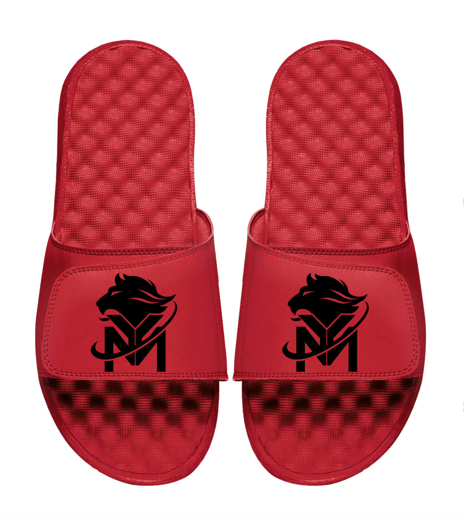 Young Money APAA Slides