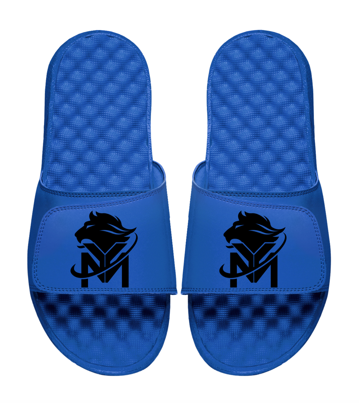 Young Money APAA Slides