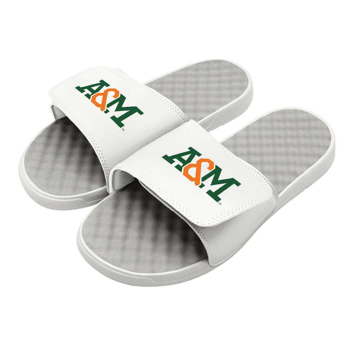 FAMU A&amp;M Wordmark Slides