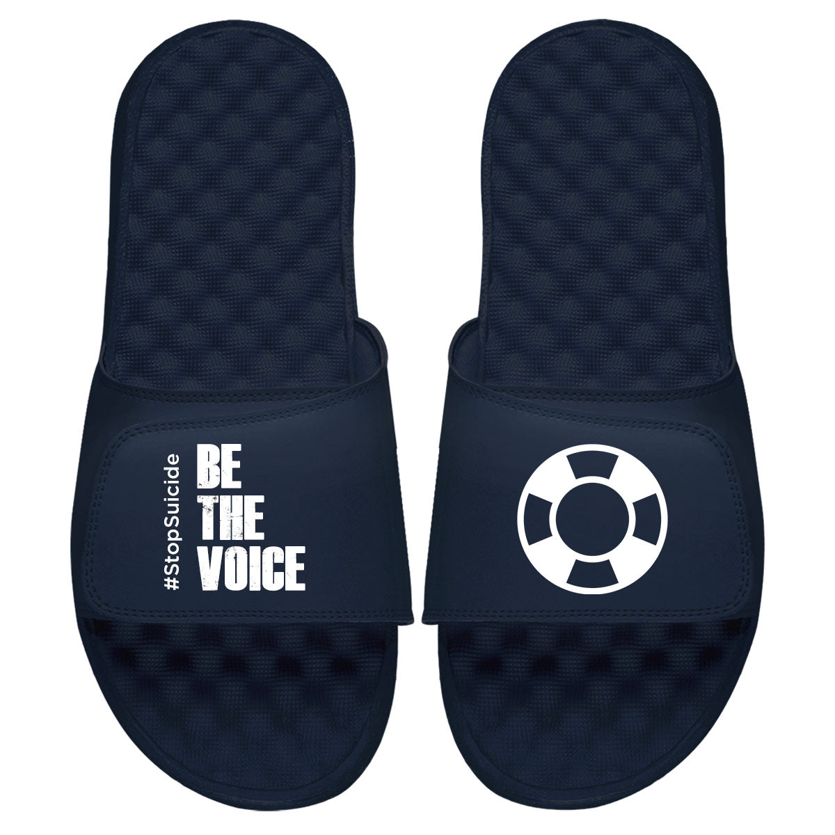 AFSP Be The Voice Slides