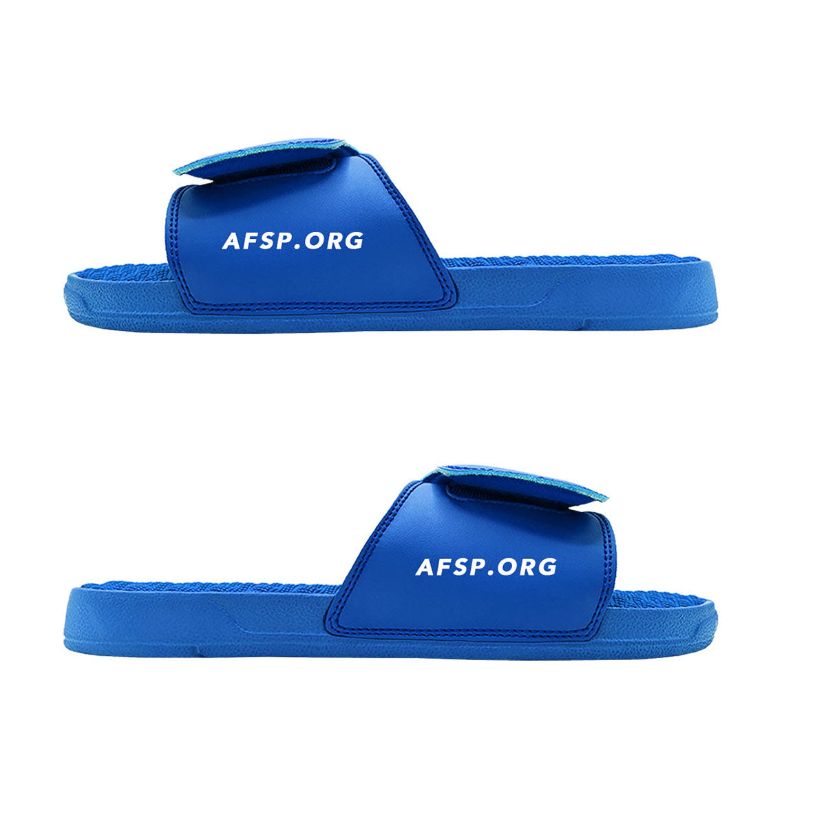 AFSP Logo Royal Slides