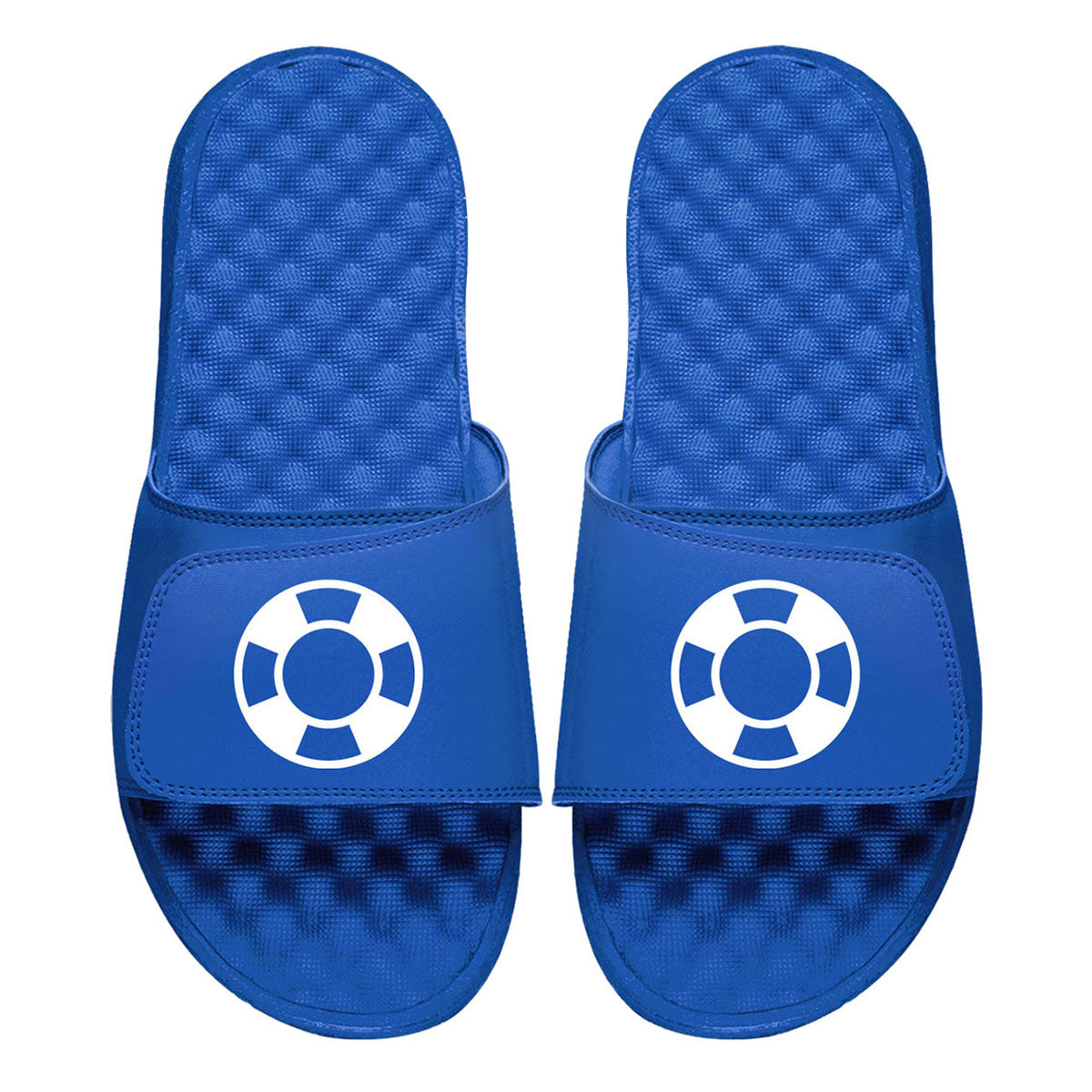 AFSP Logo Royal Slides