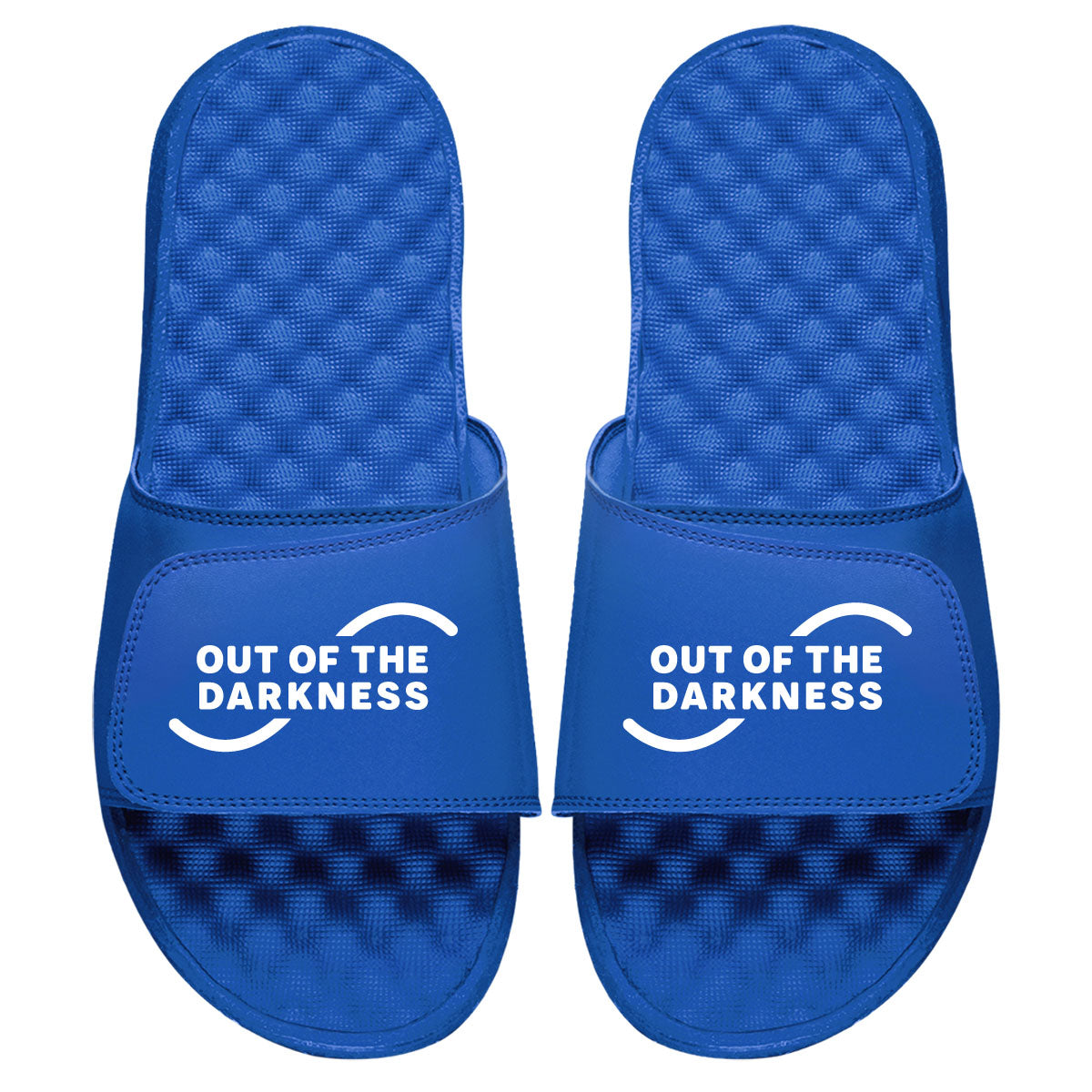 AFSP Out Of The Darkness Slides