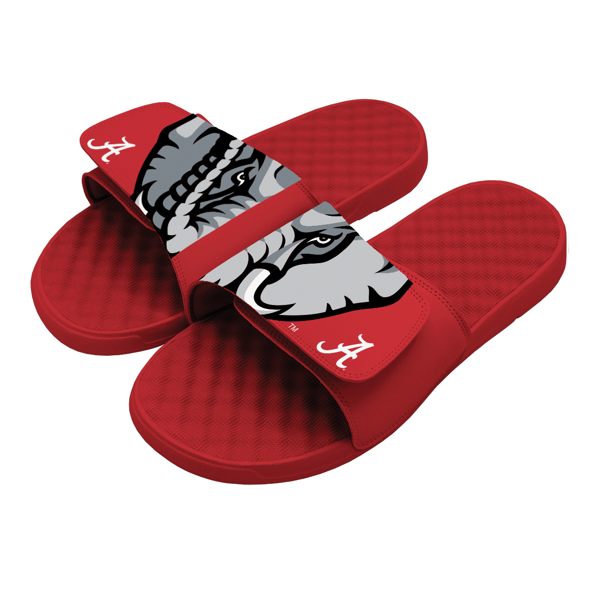 Alabama Elephant Split Slides