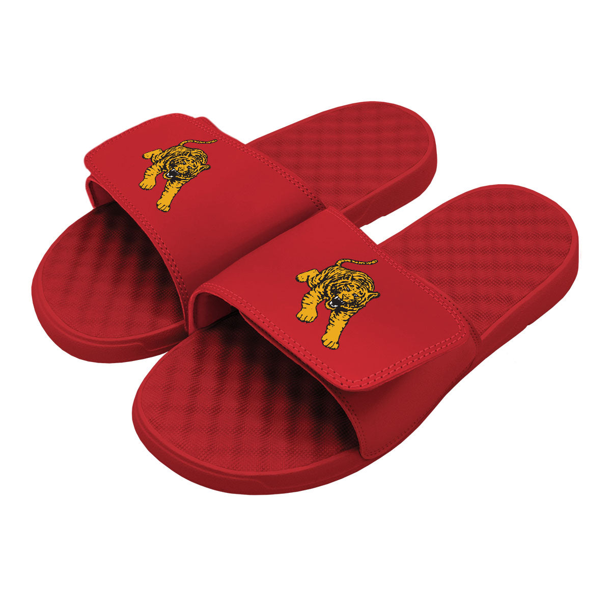 Tuskegee Tiger Slides