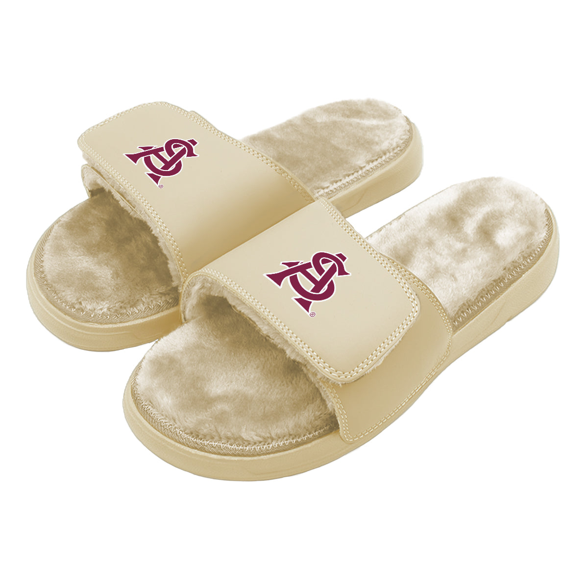 Arizona State Dune Fur Slides