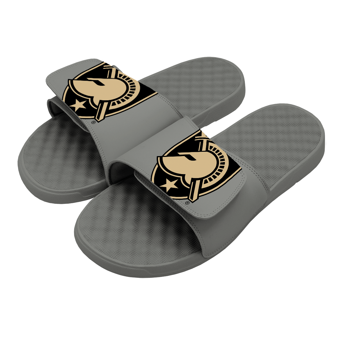 Army Primary Oversized Slides
