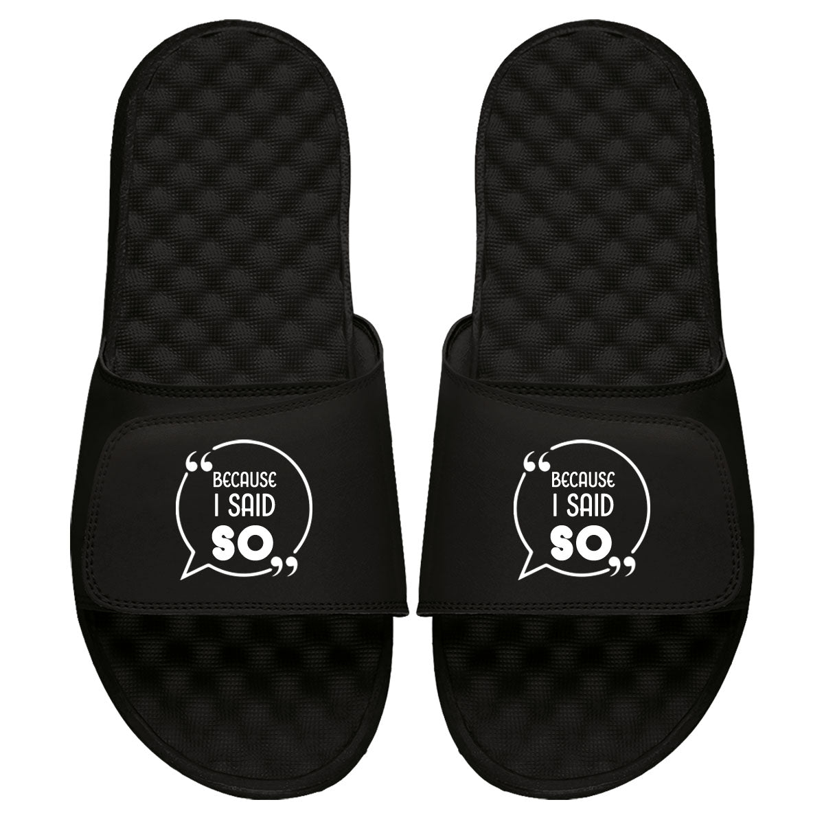 Because I Said So Slides