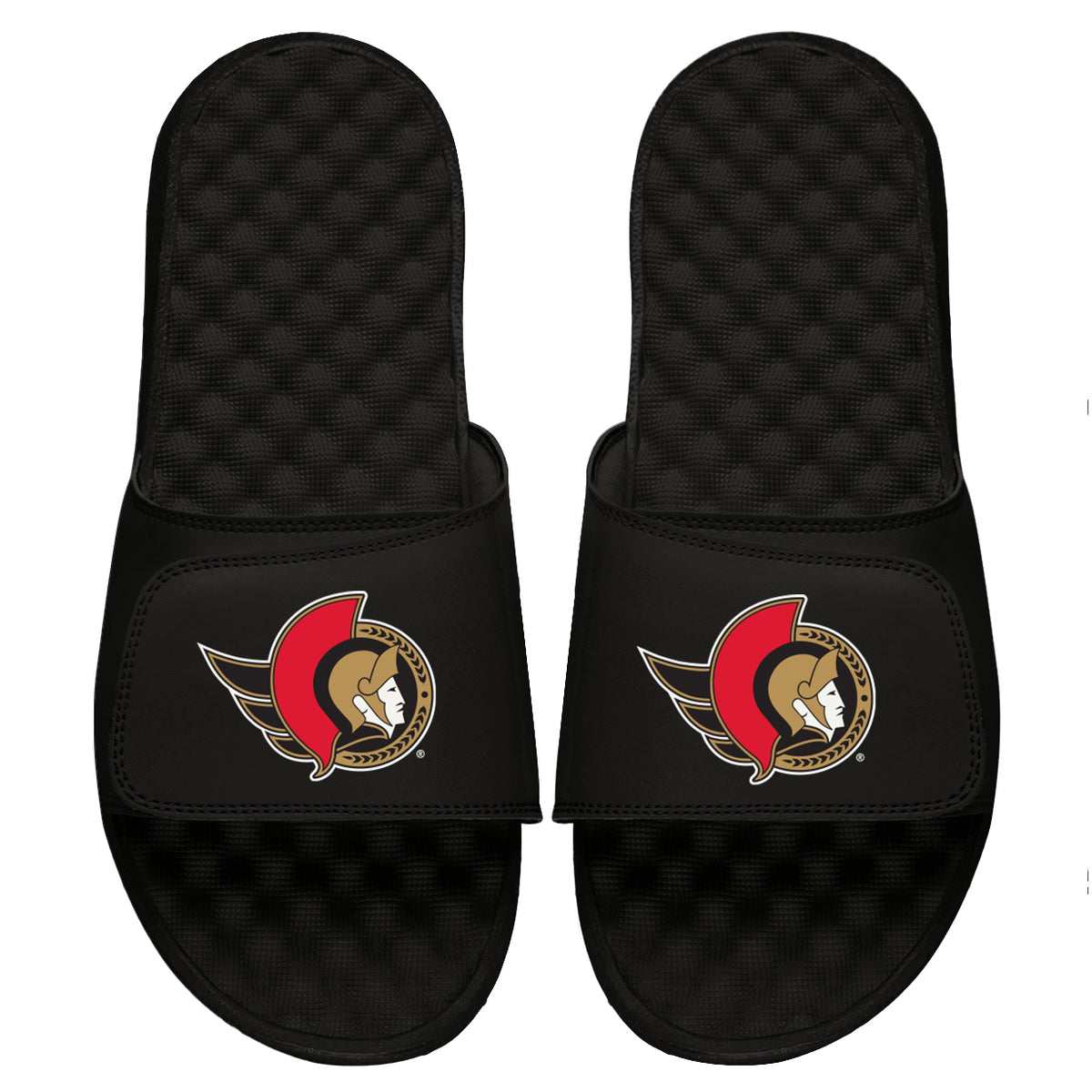 Ottawa Senators Primary Slides