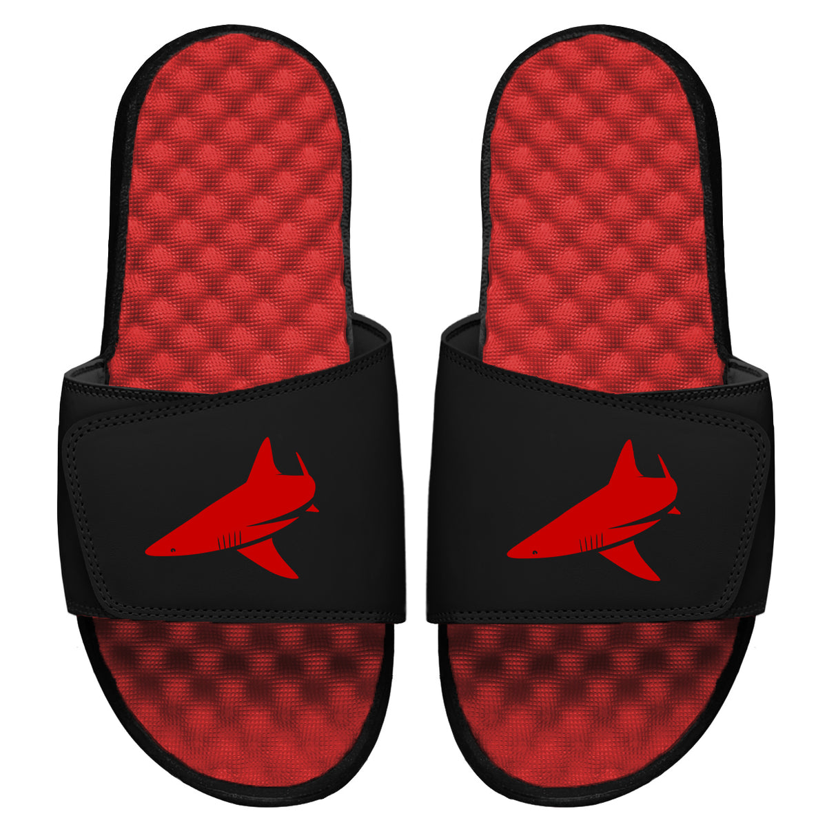 BlacktipH Fishing Shark Logo Slides