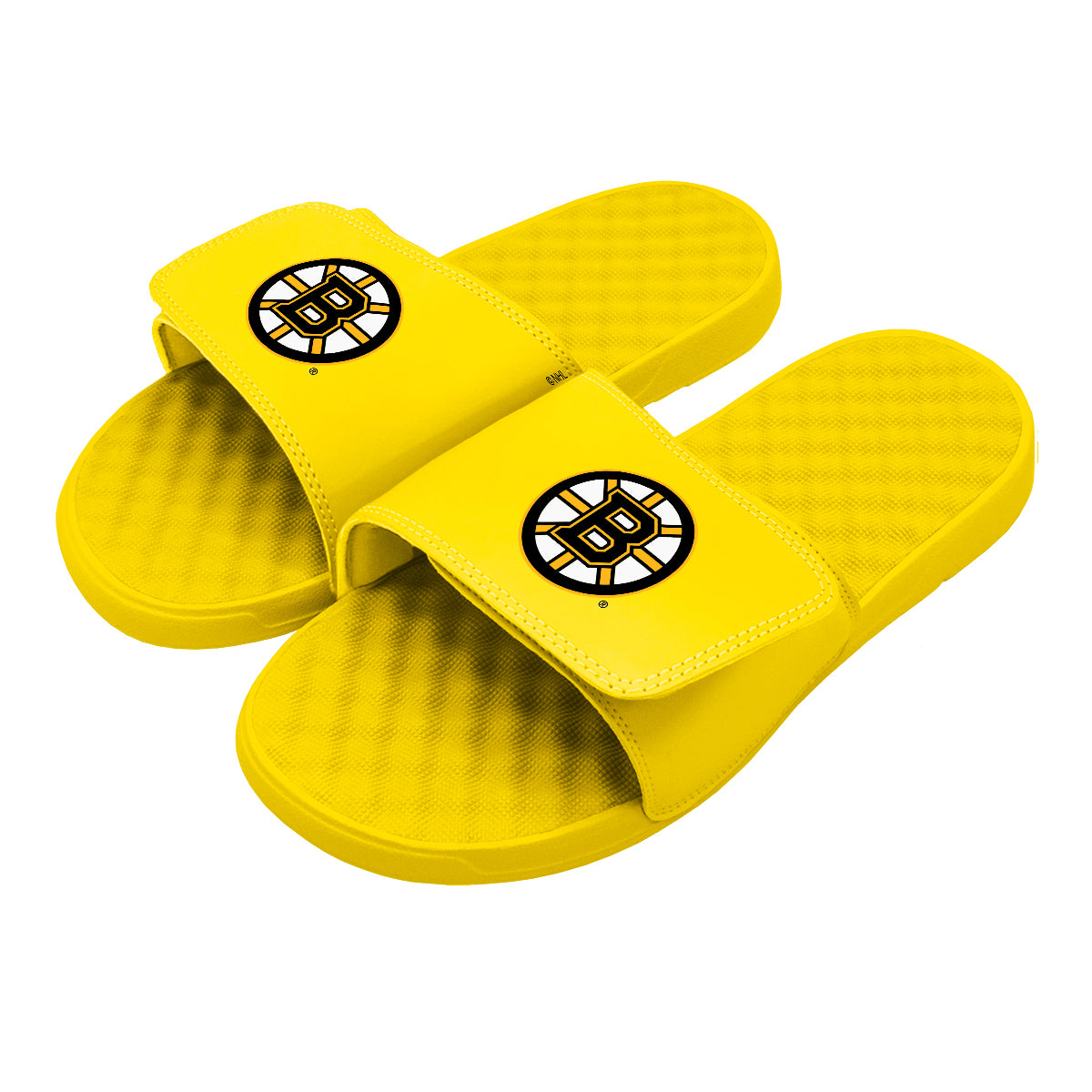 Boston Bruins Canary Primary Slides