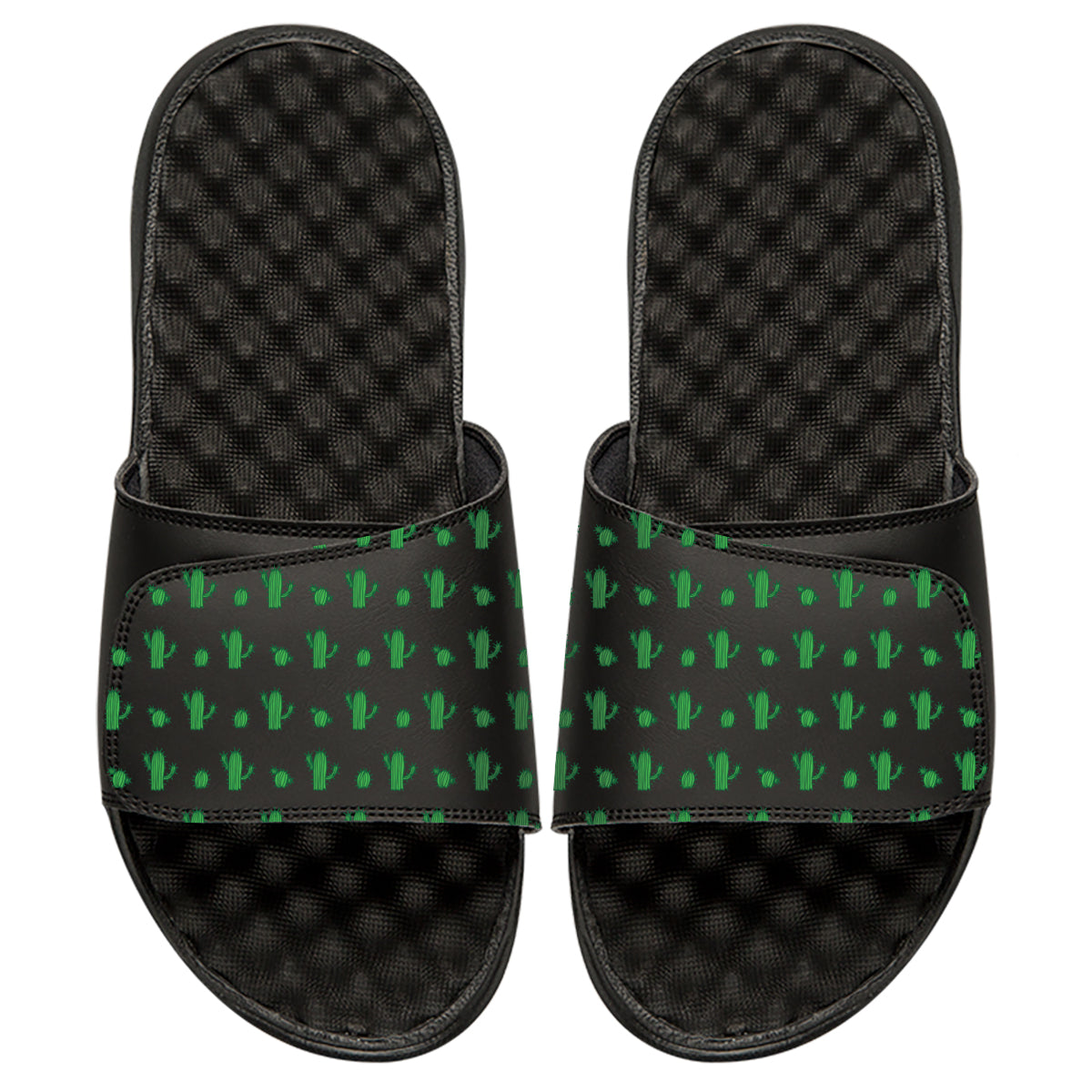 Cacti Pattern - ISlide