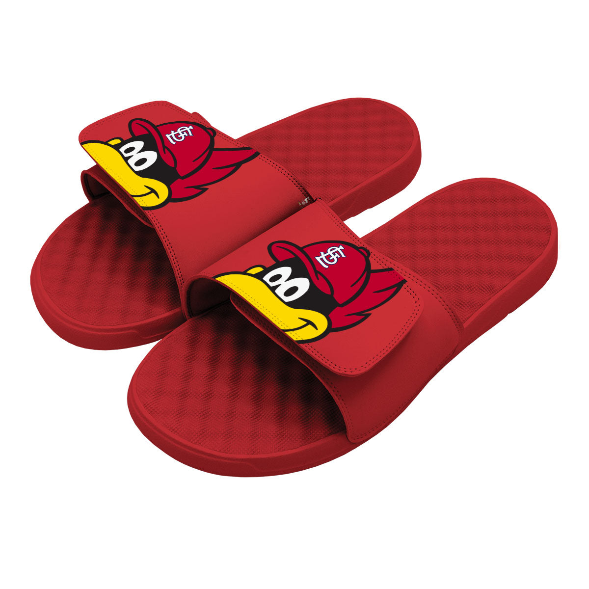 St. Louis Cardinals Mascot Slides