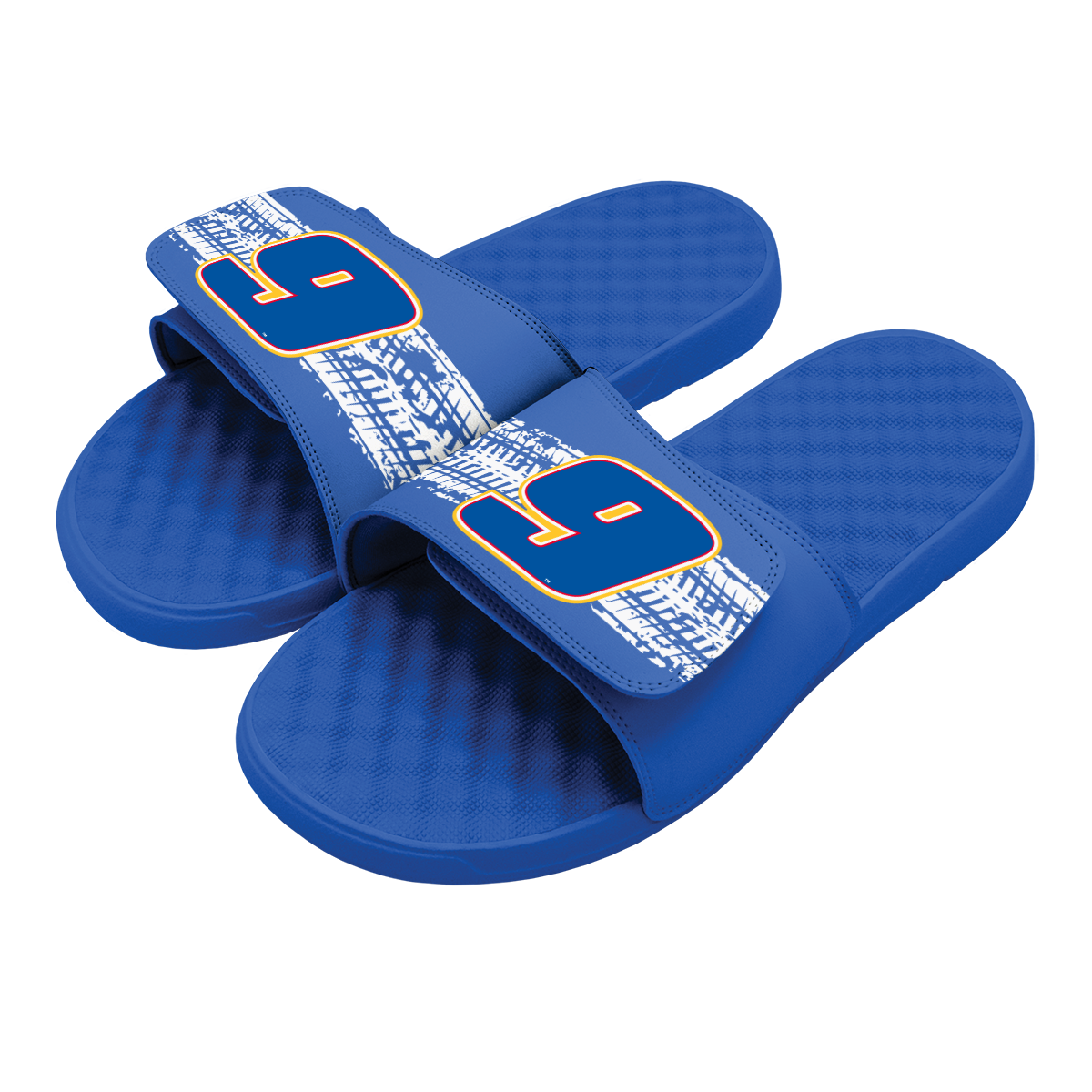 Chase Elliott 9 Tire Tracks Slides