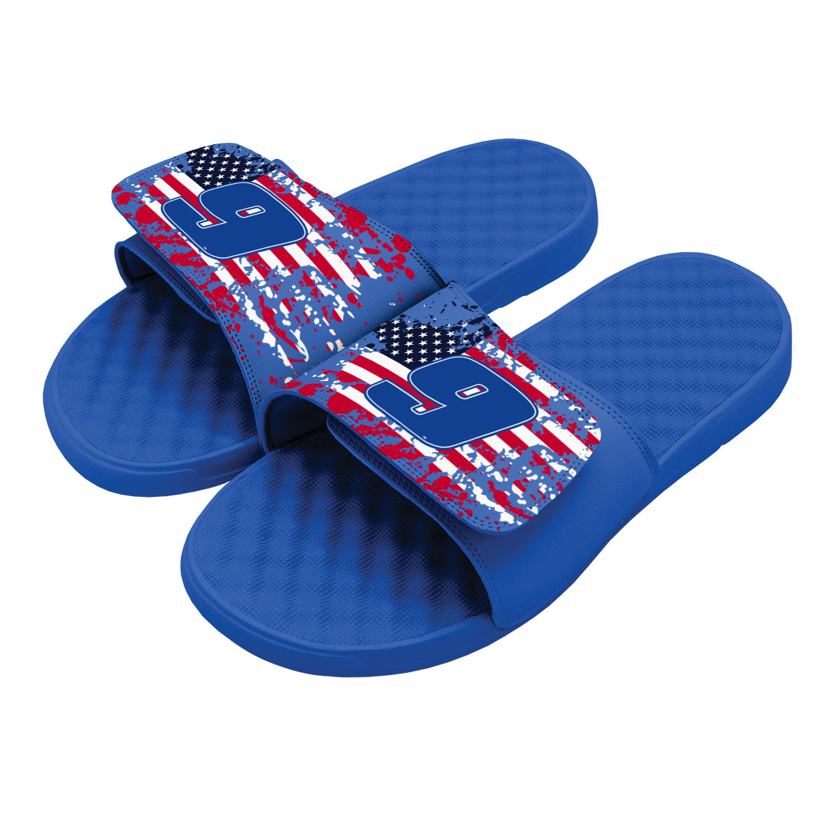Chase Elliott 9 American Flag Slides