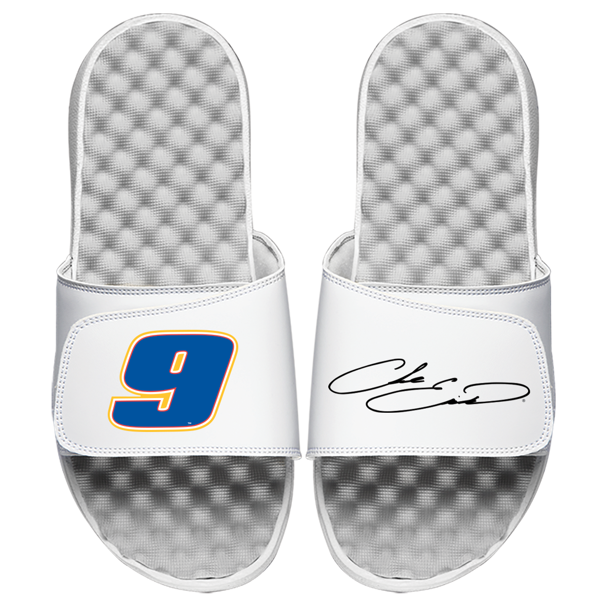 Chase Elliott 9 Signature Split Slides