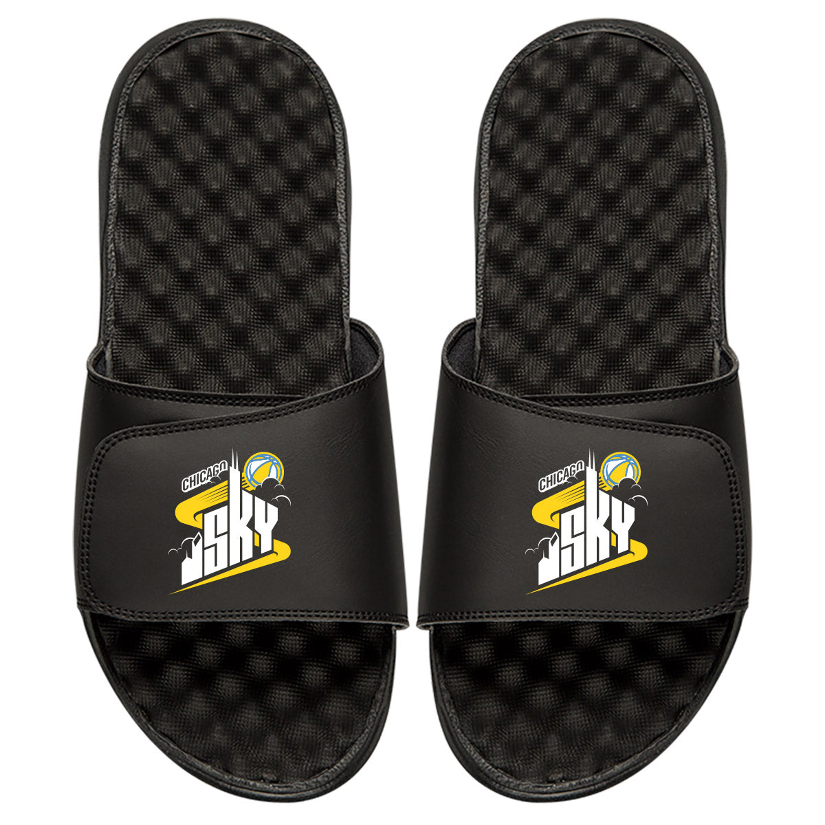 Chicago Sky Primary - ISlide