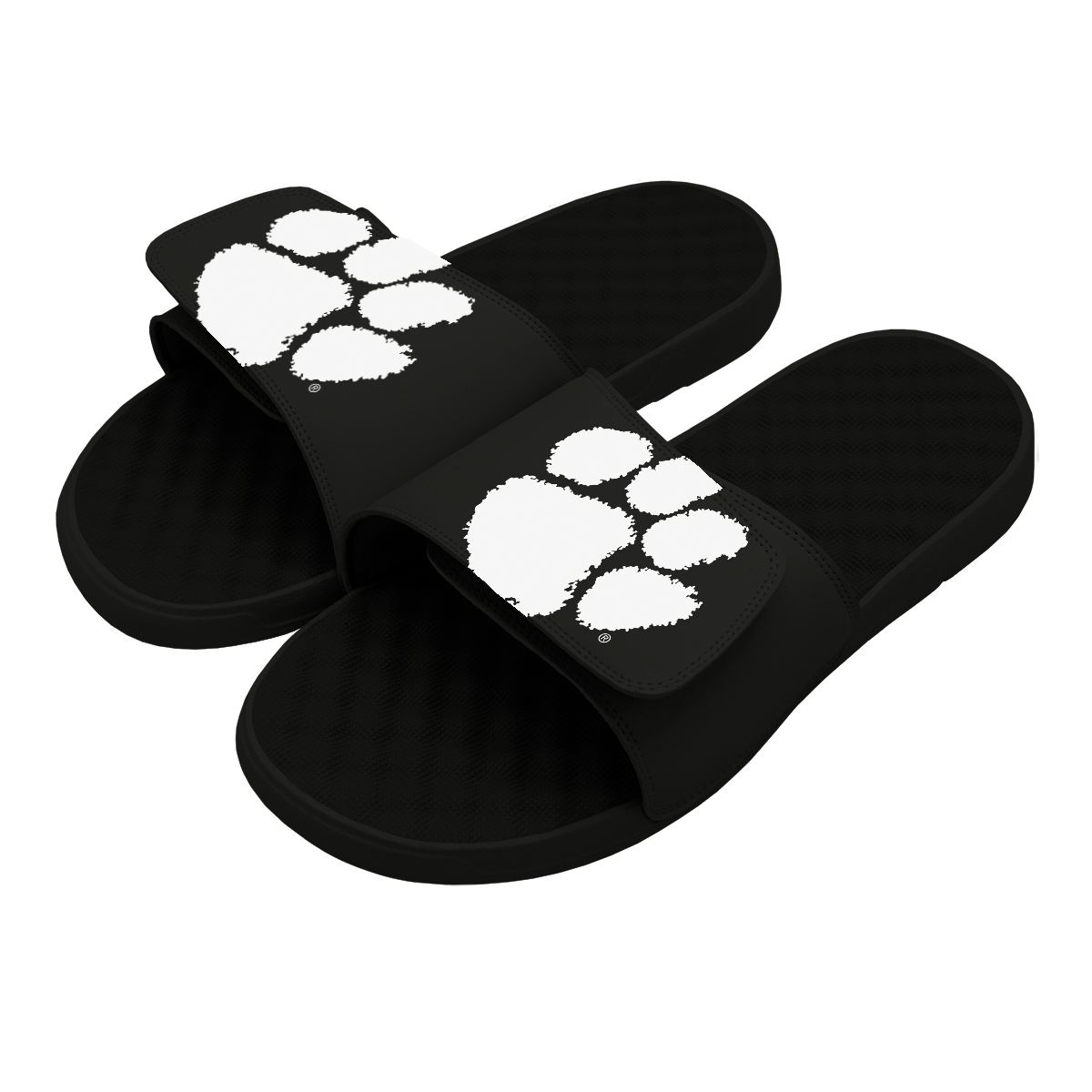 Clemson University Primary Slides