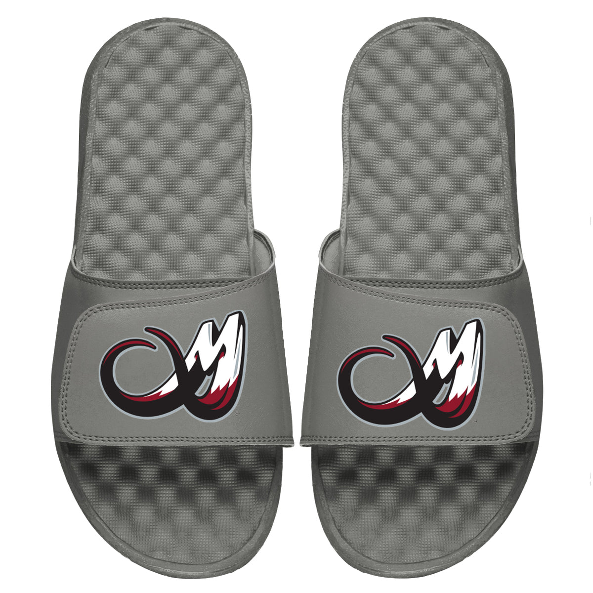 Colorado Mammoth Slides