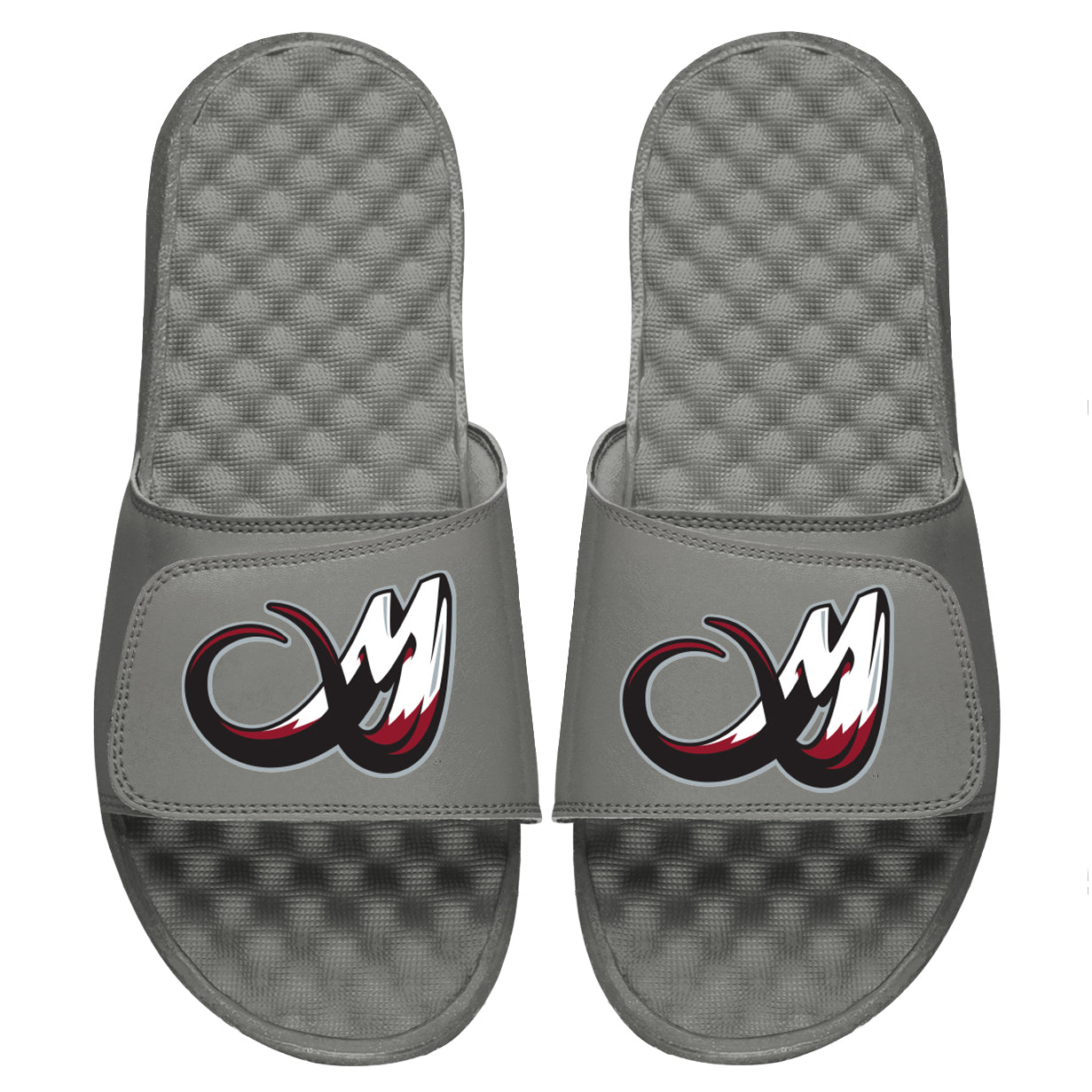 Colorado Mammoth Slides