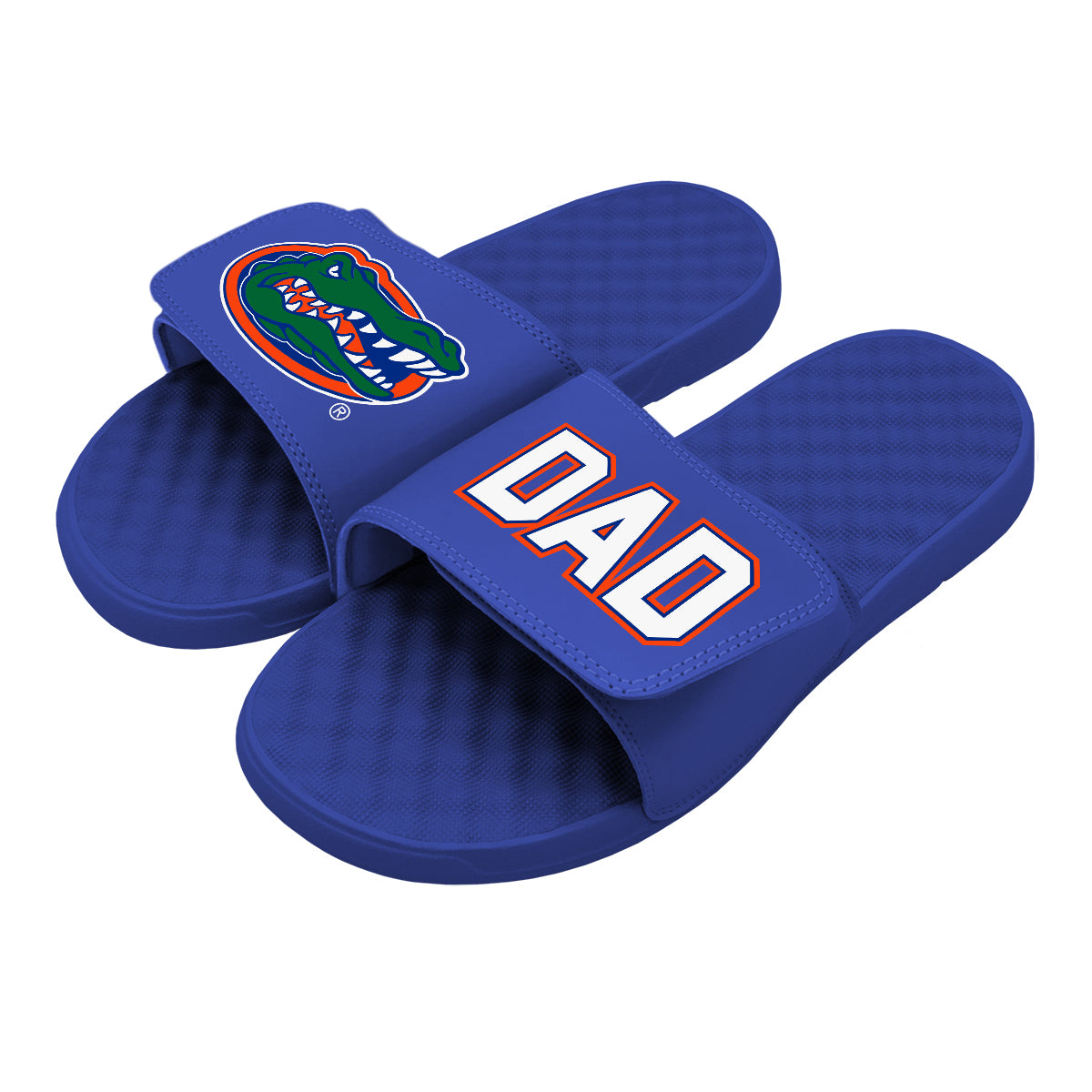 Dad Florida Slides