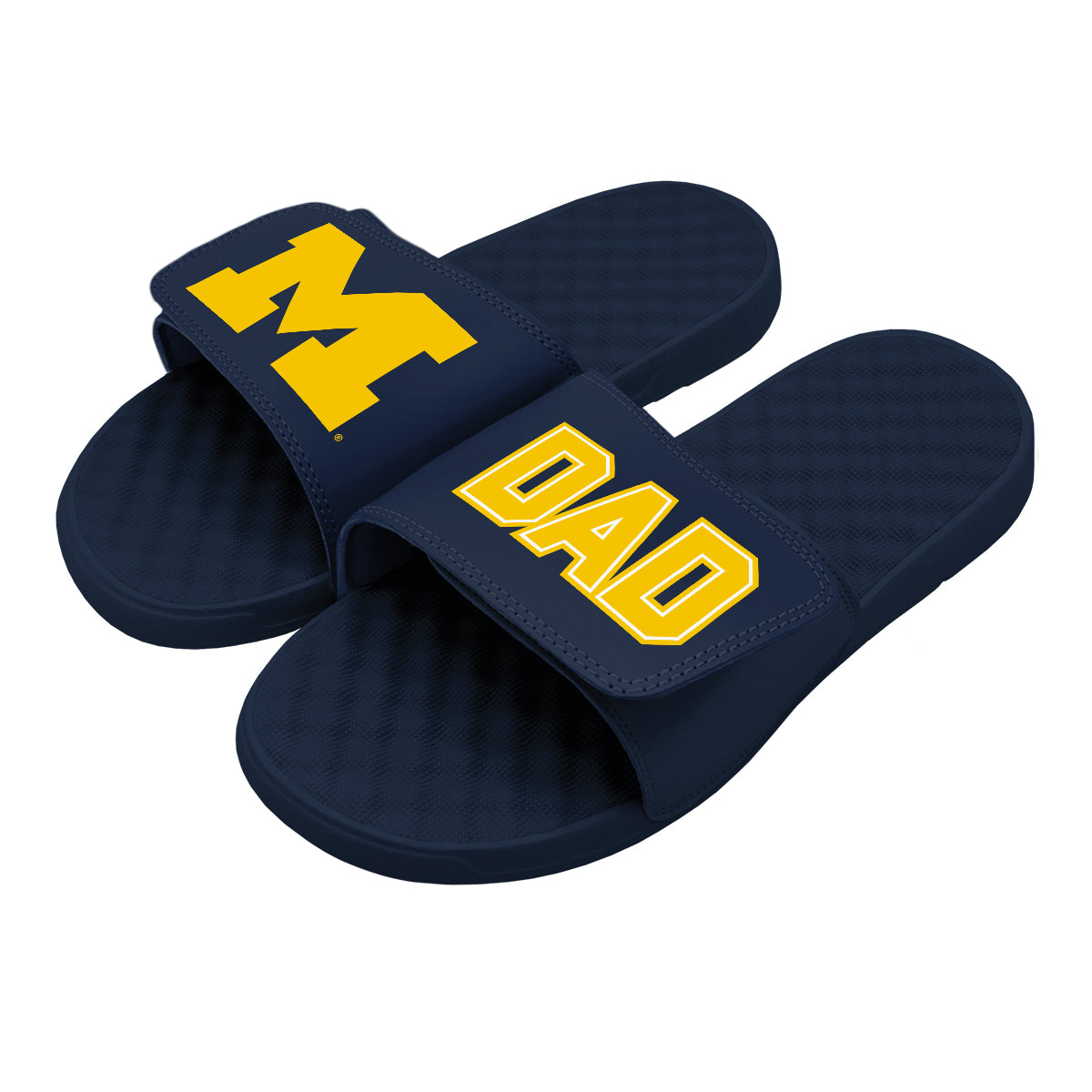 Dad Michigan Slides
