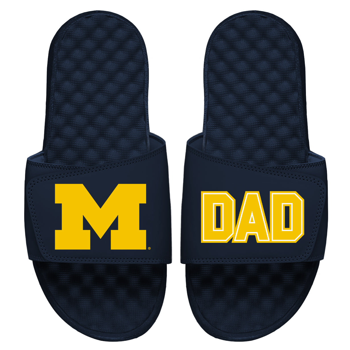 Dad Michigan Slides